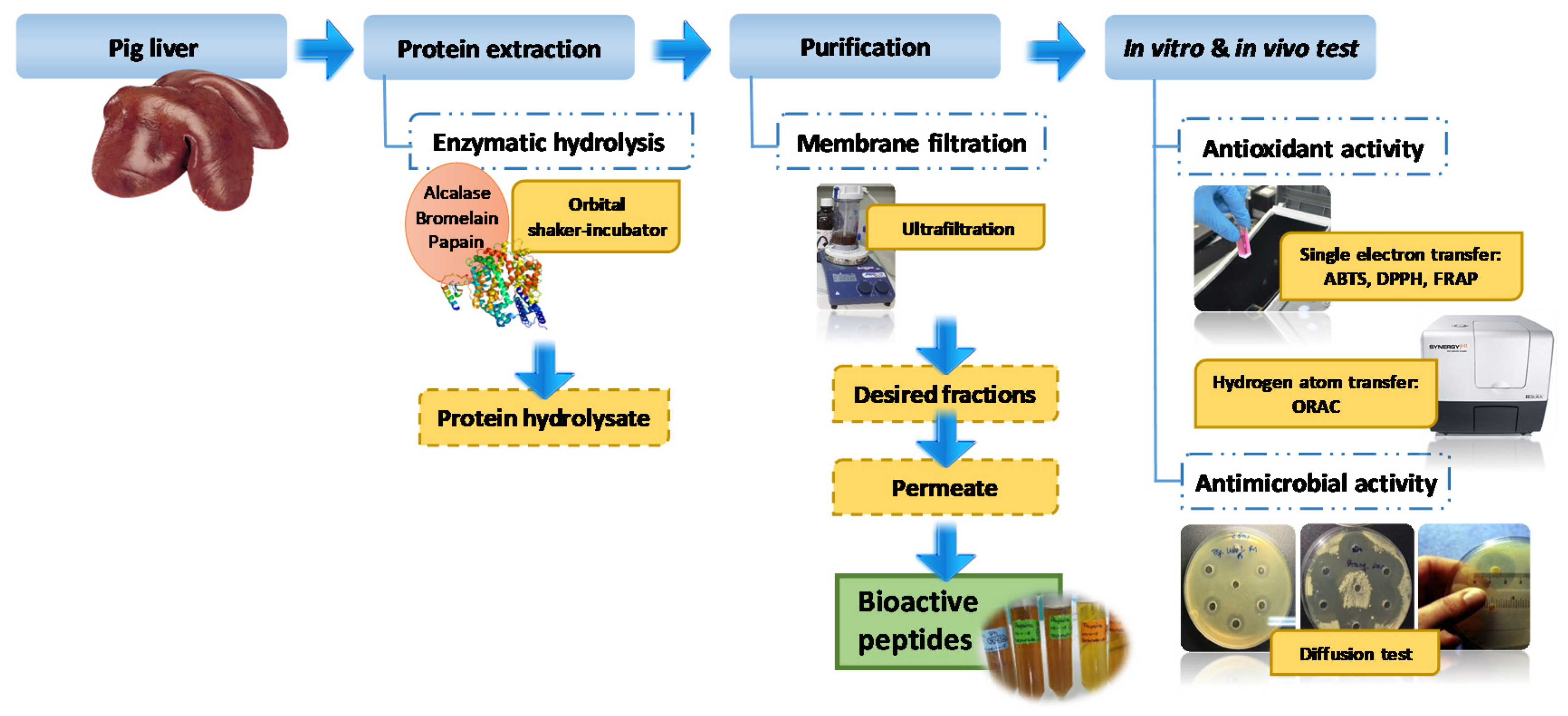 Applsci 10 02290 g001