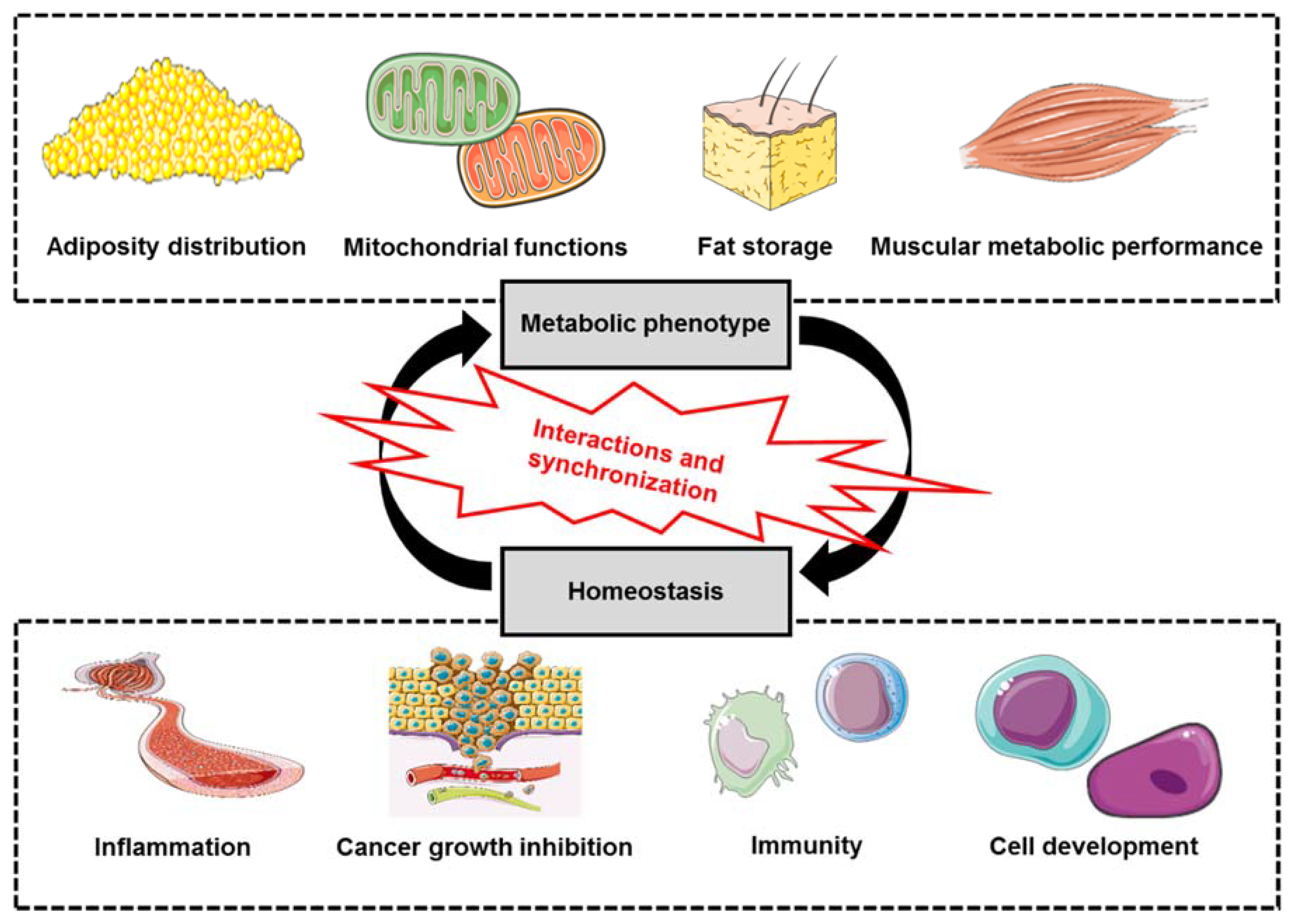 Applsci 10 02388 g002 Applsci 10 02388 g002