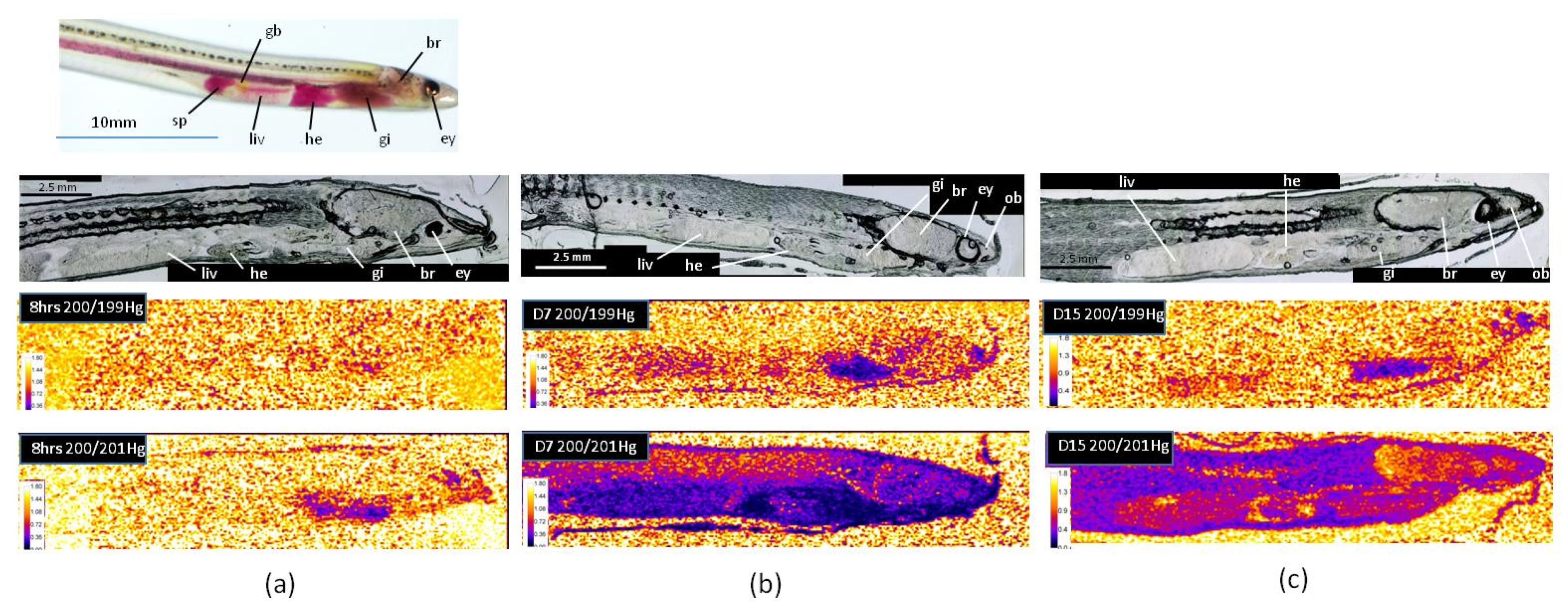 Applsci 10 02463 g003