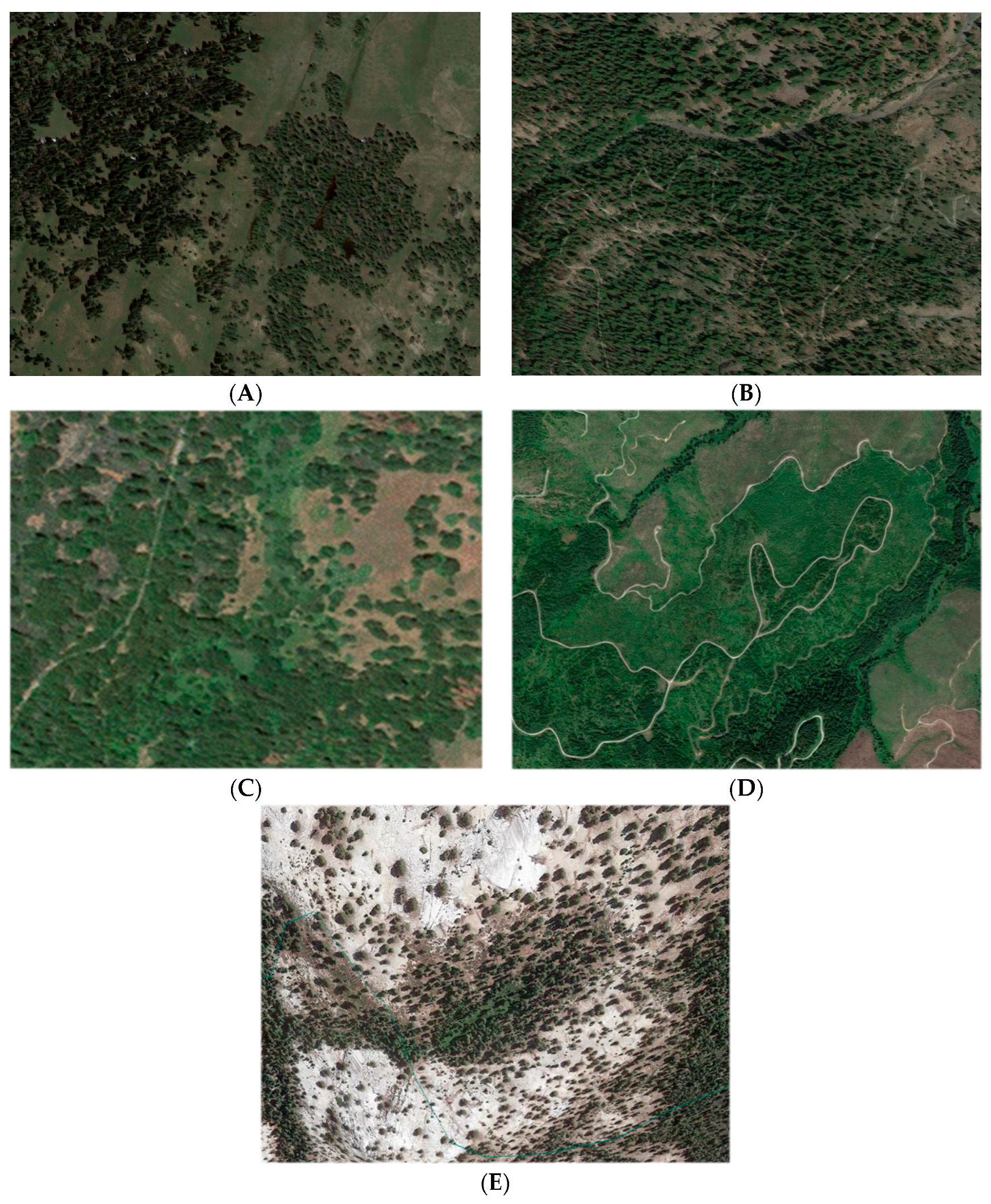 Applsci 10 02509 g003