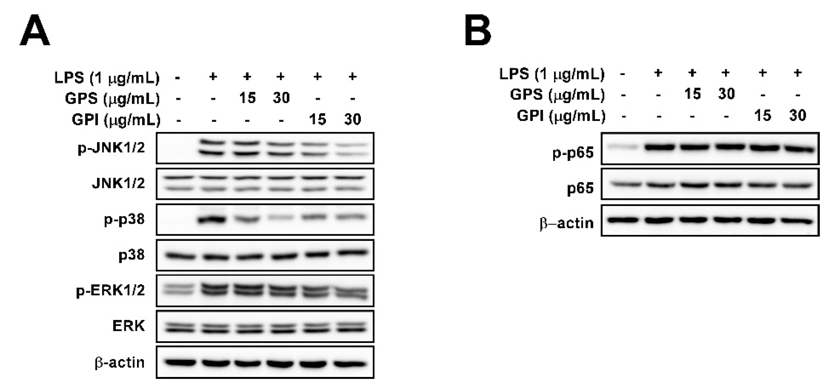 Applsci 10 02519 g003
