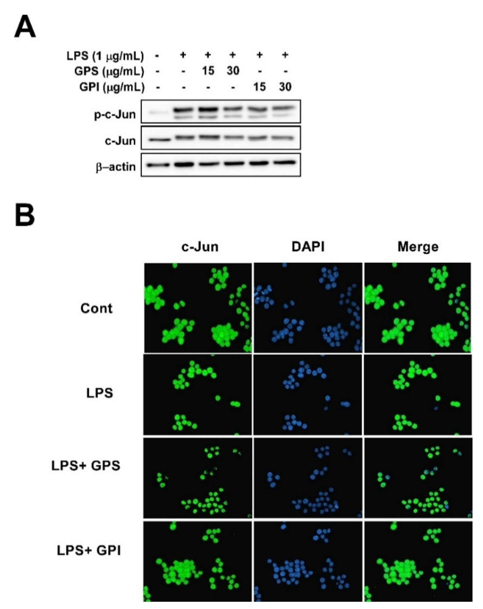 Applsci 10 02519 g004
