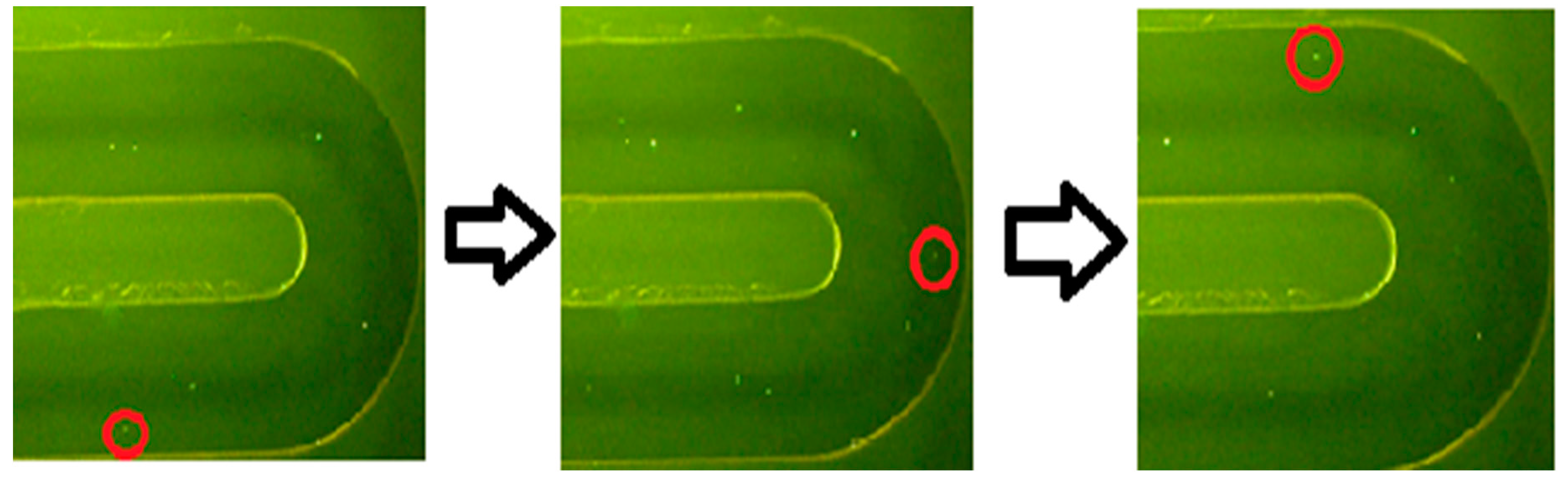 Applsci 10 02527 g002 Applsci 10 02527 g002