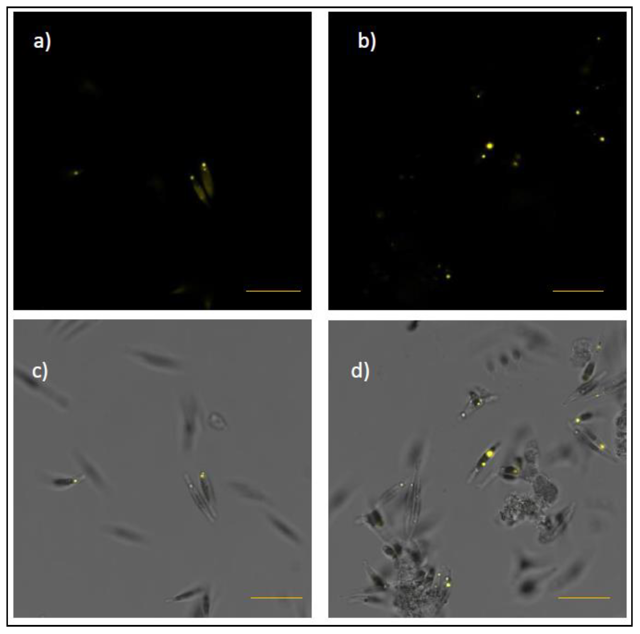 Applsci 10 02531 g004