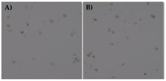 Applsci 10 02531 g0a2 Applsci 10 02531 g0a2