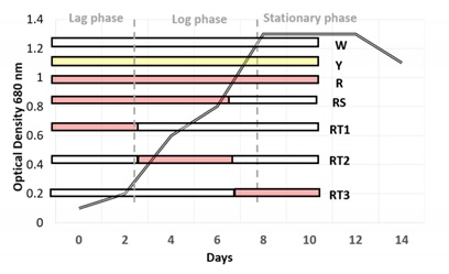 Applsci 10 02531 i001