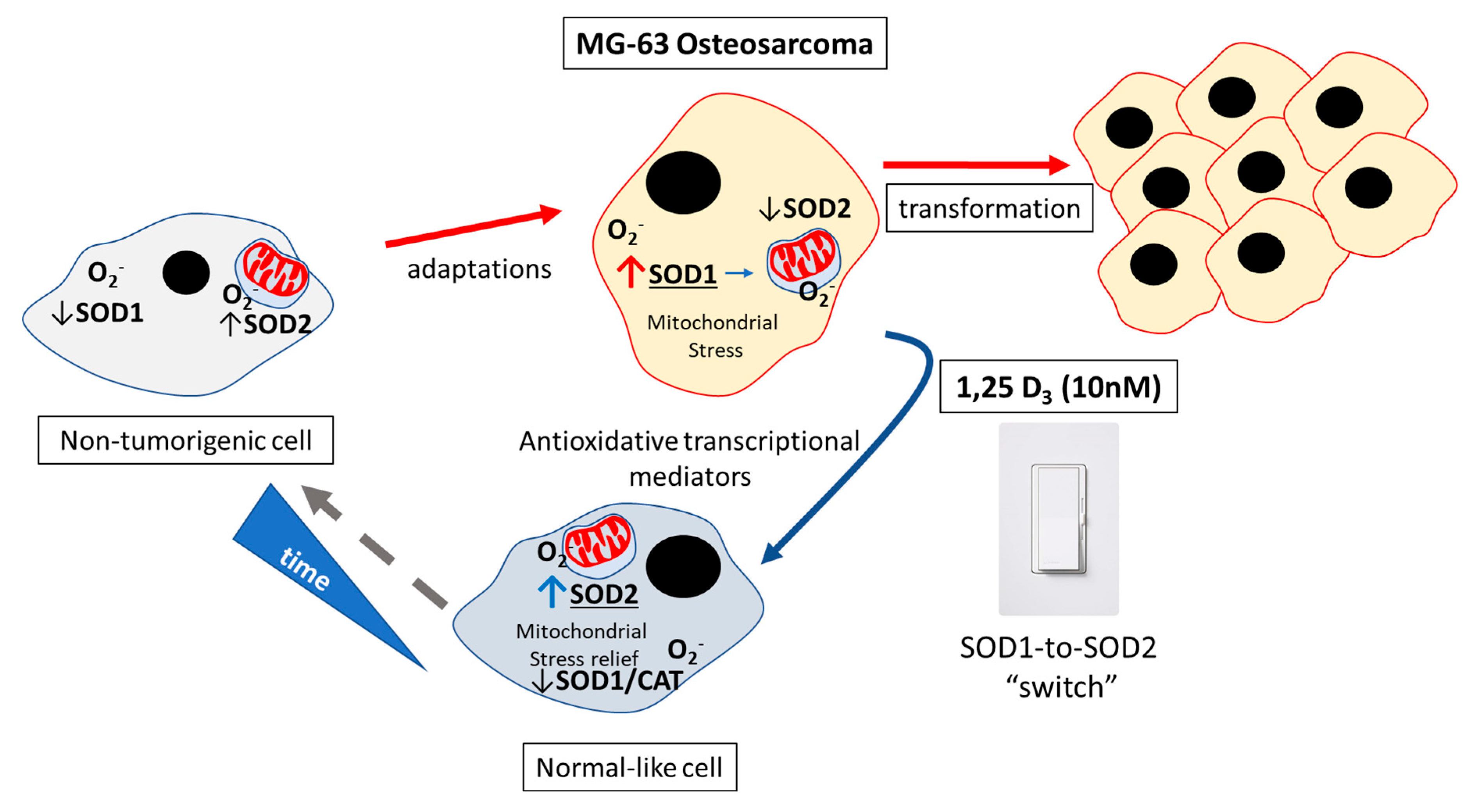 Applsci 10 02554 g004