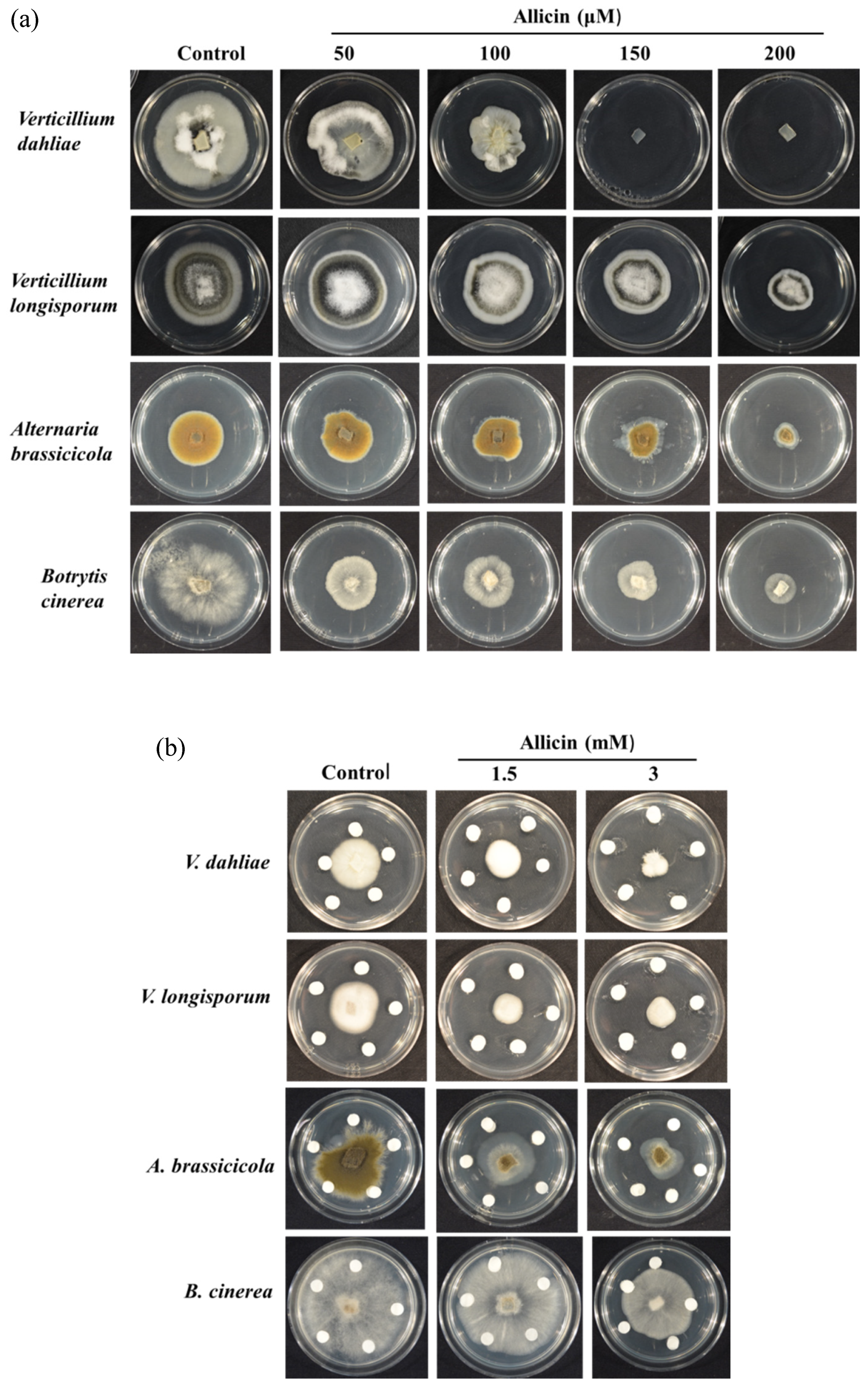 Applsci 10 02563 g002 Applsci 10 02563 g002