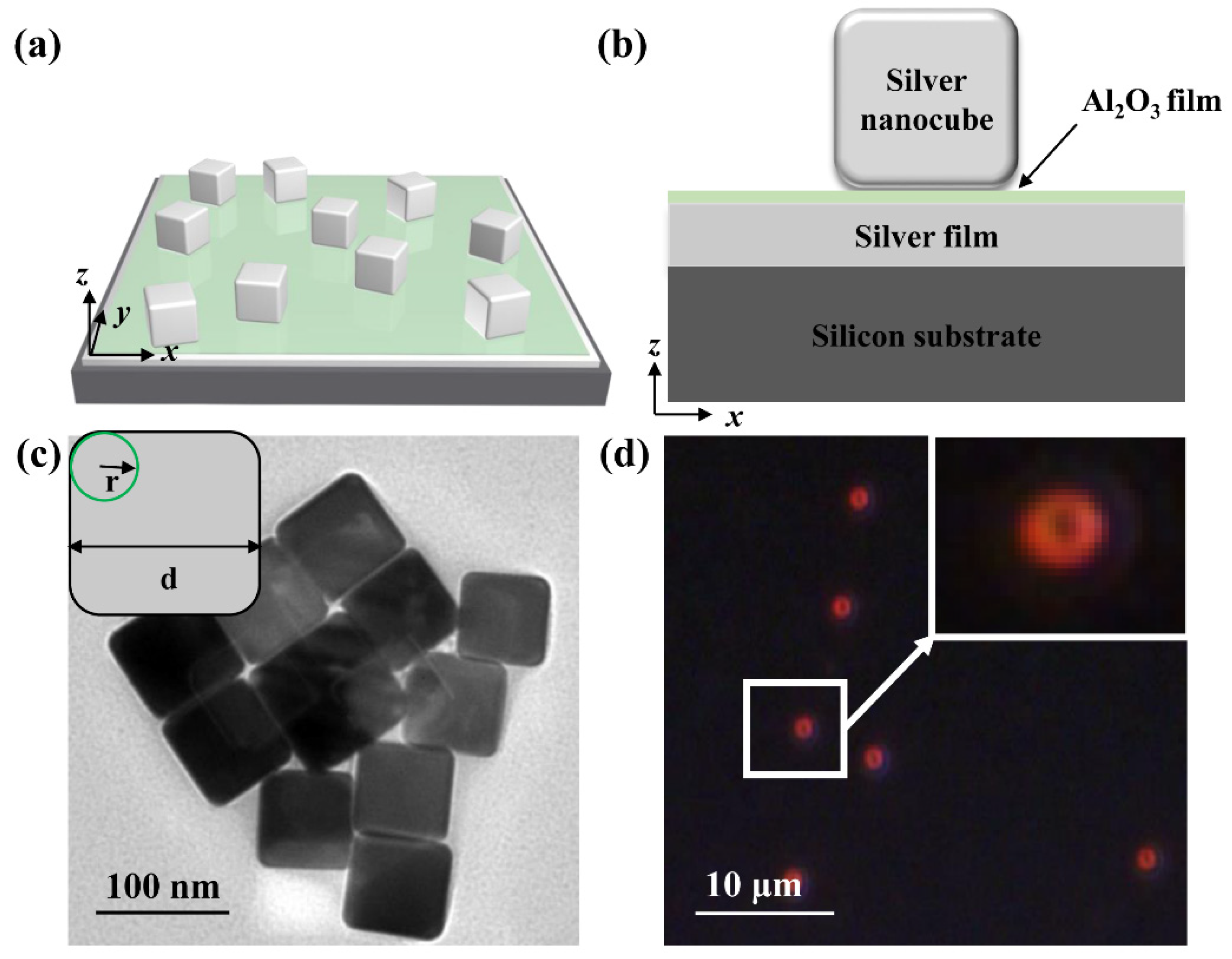 Applsci 10 02603 g001