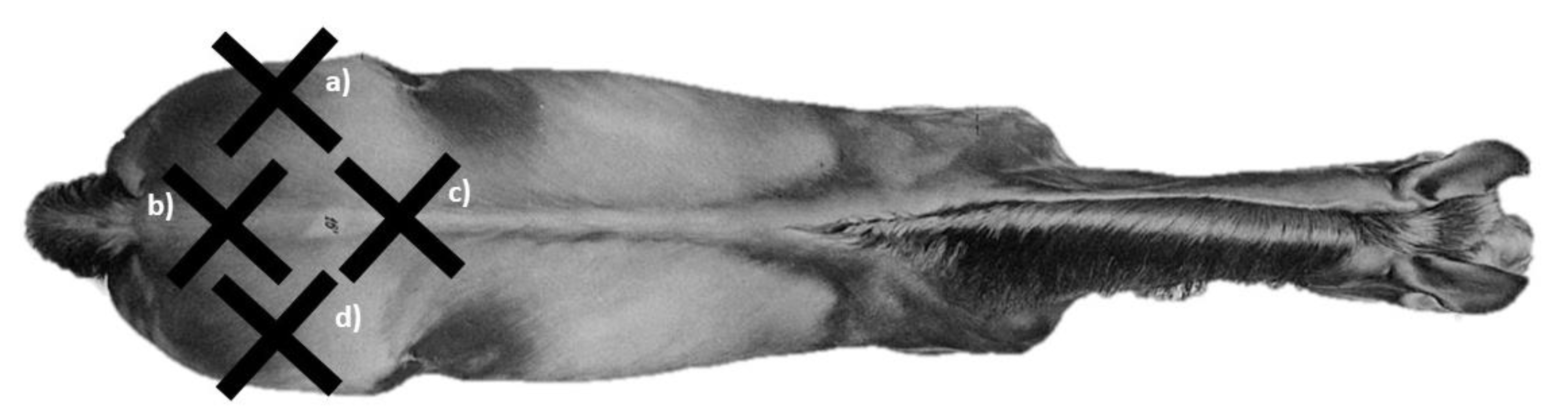 Applsci 10 02623 g004 Applsci 10 02623 g004