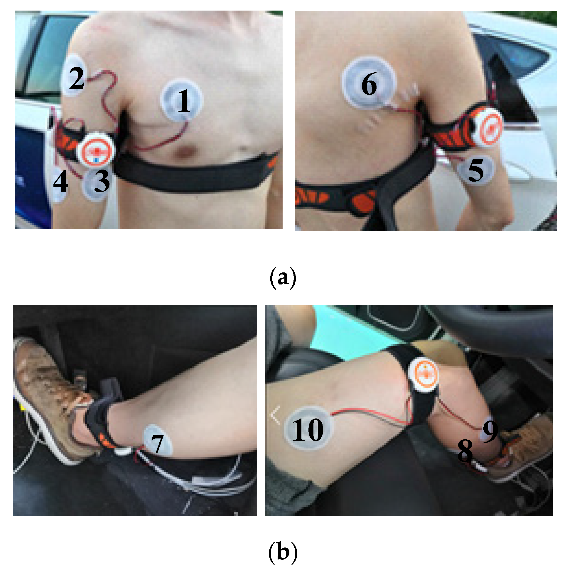 Applsci 10 02626 g005