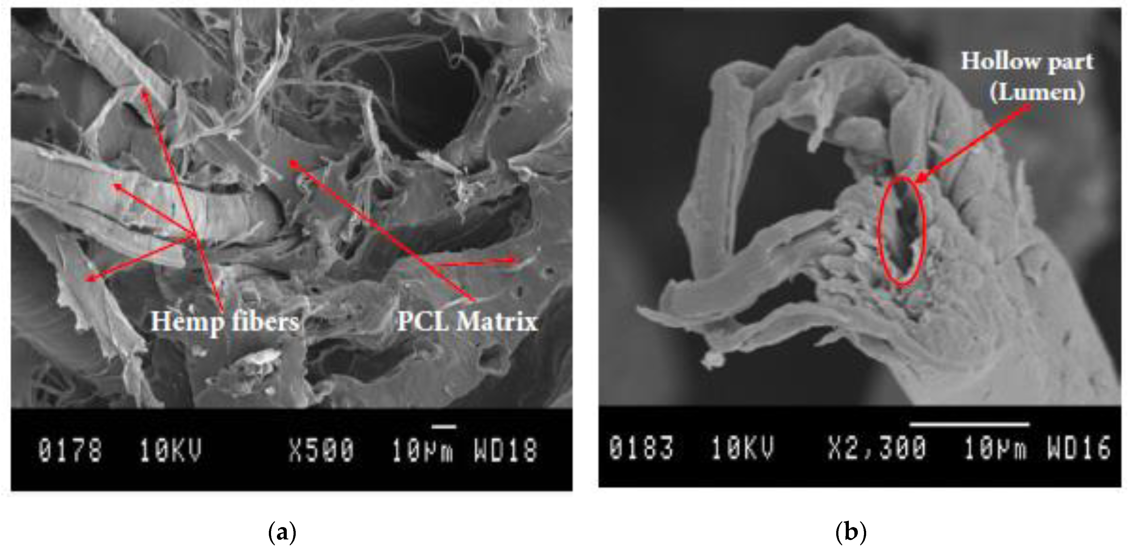 Applsci 10 02636 g008 Applsci 10 02636 g008