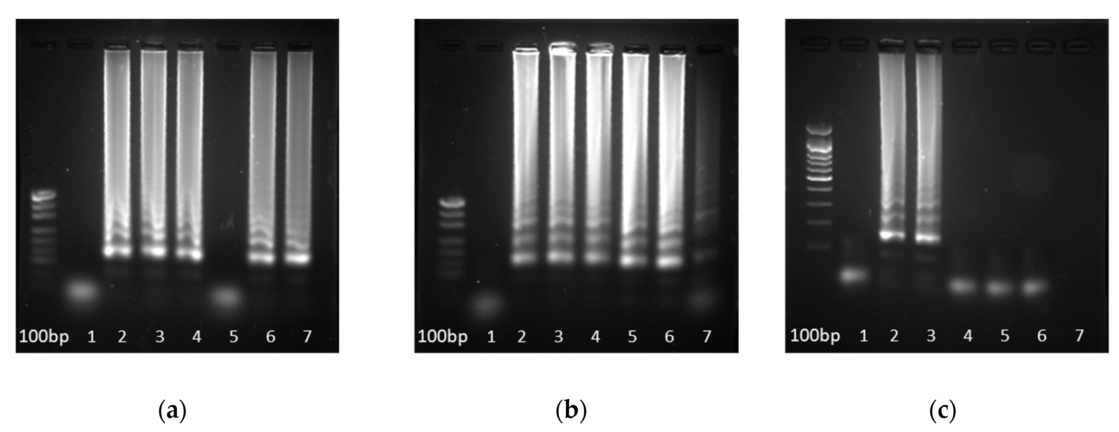 Applsci 10 02658 g008