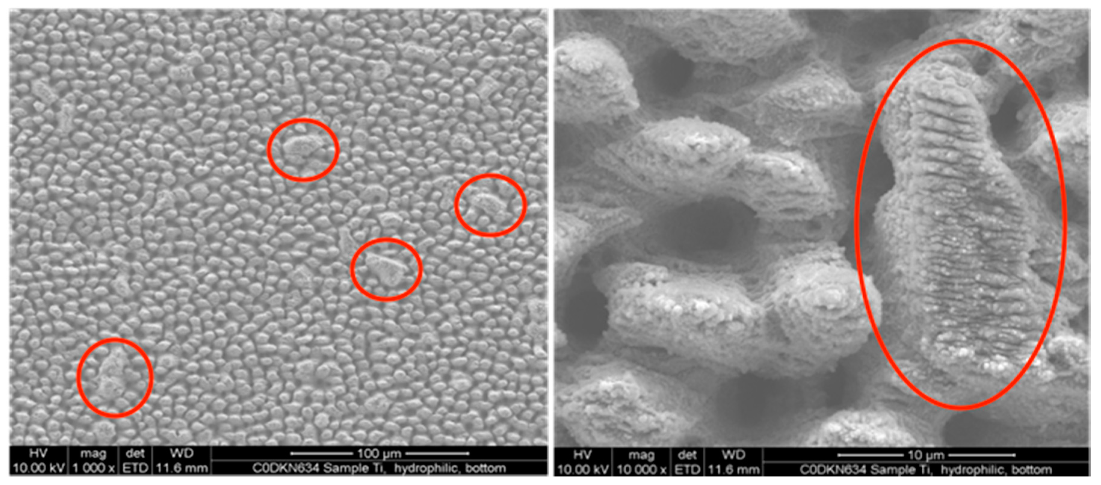 Applsci 10 02678 g004 Applsci 10 02678 g004