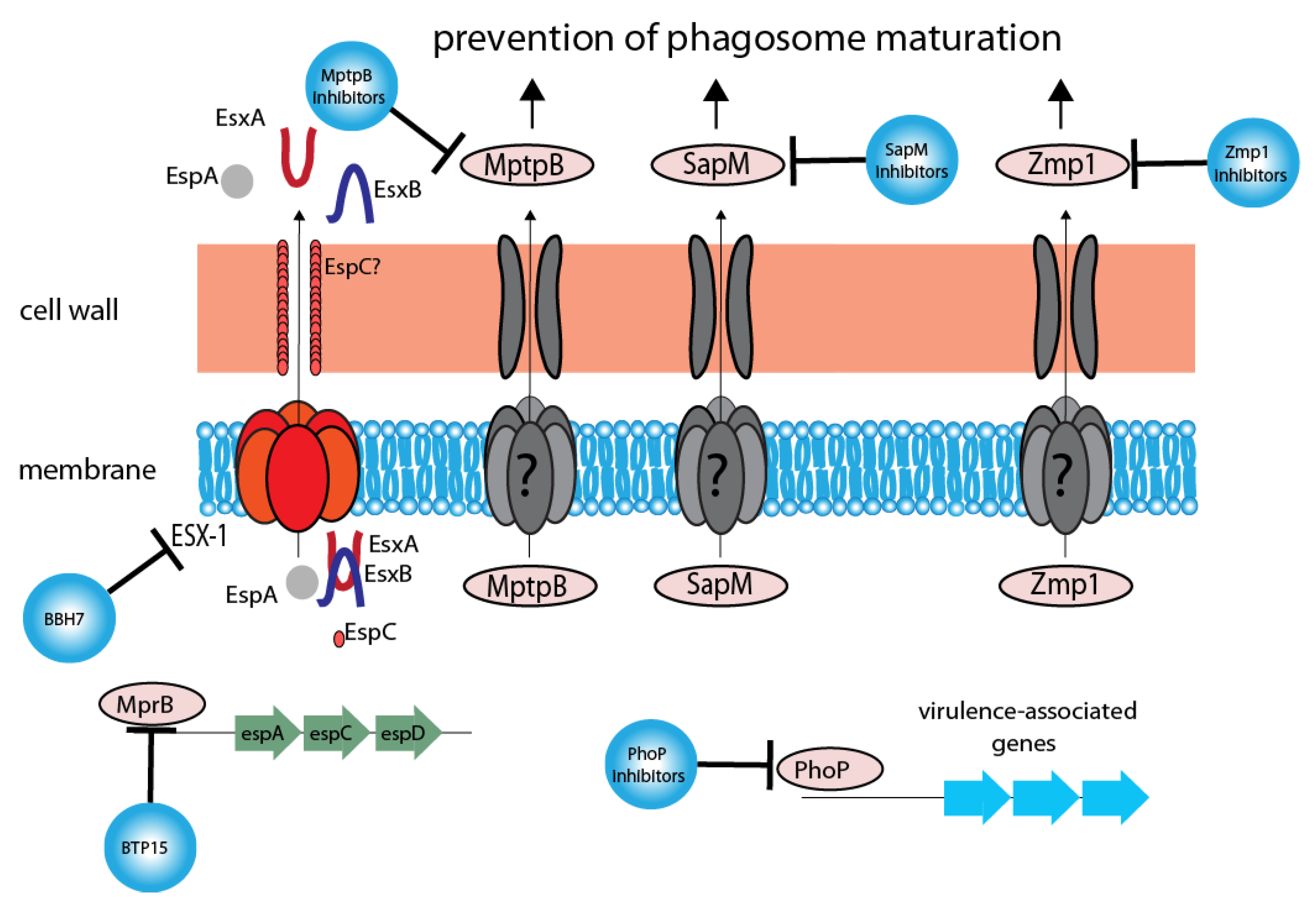 Applsci 10 02688 g001
