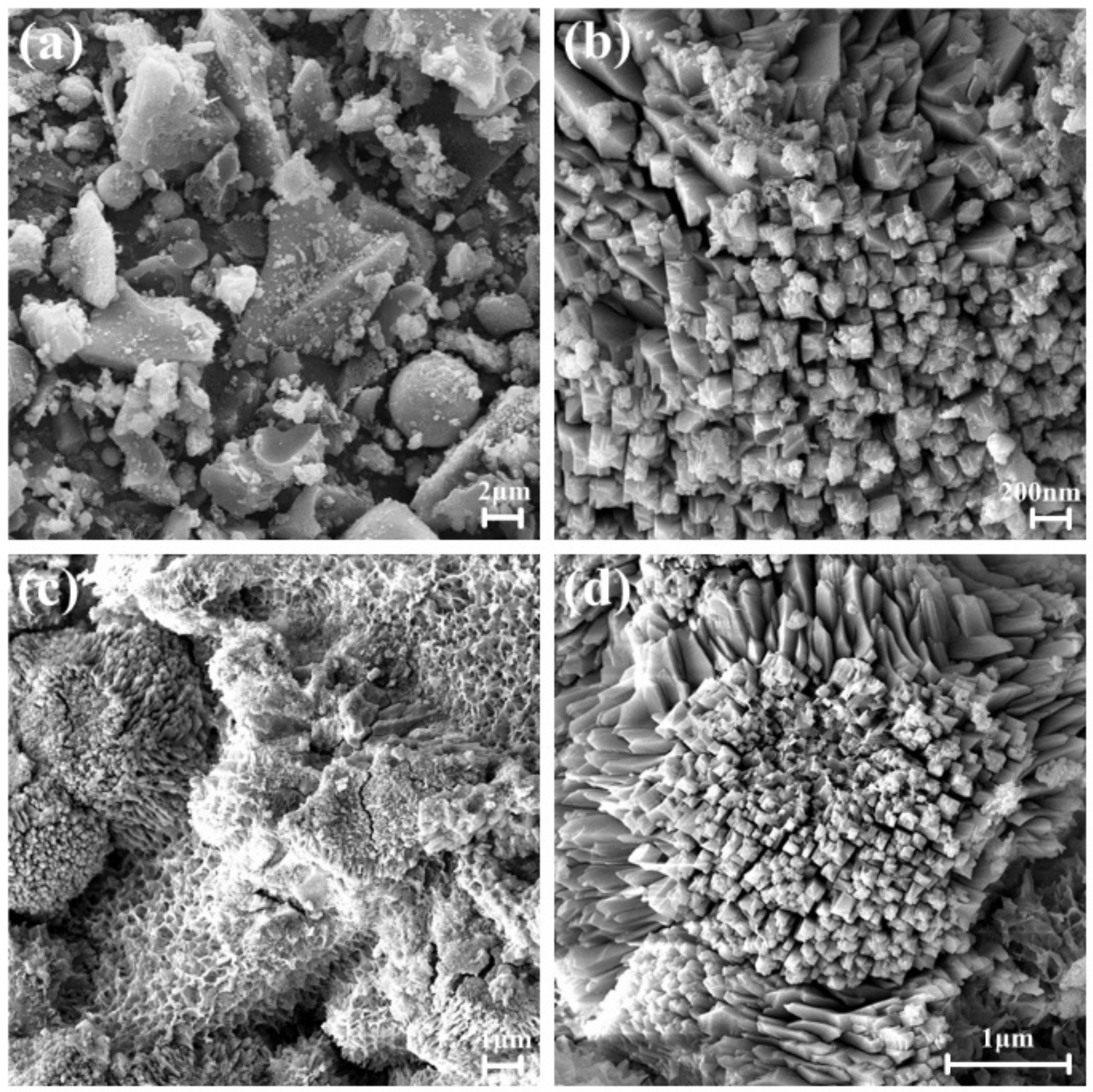 Applsci 10 02694 g003