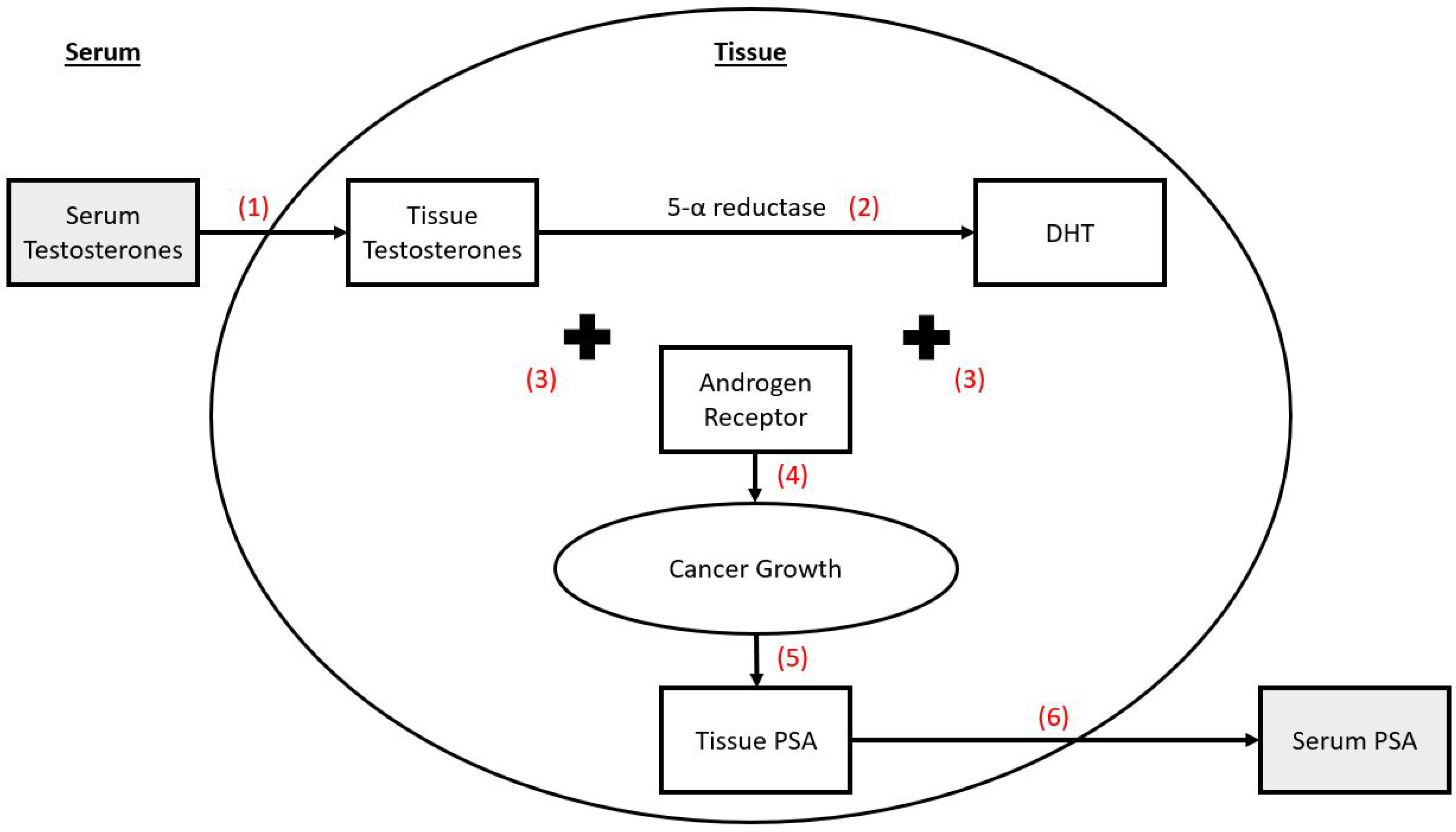 Applsci 10 02721 g002