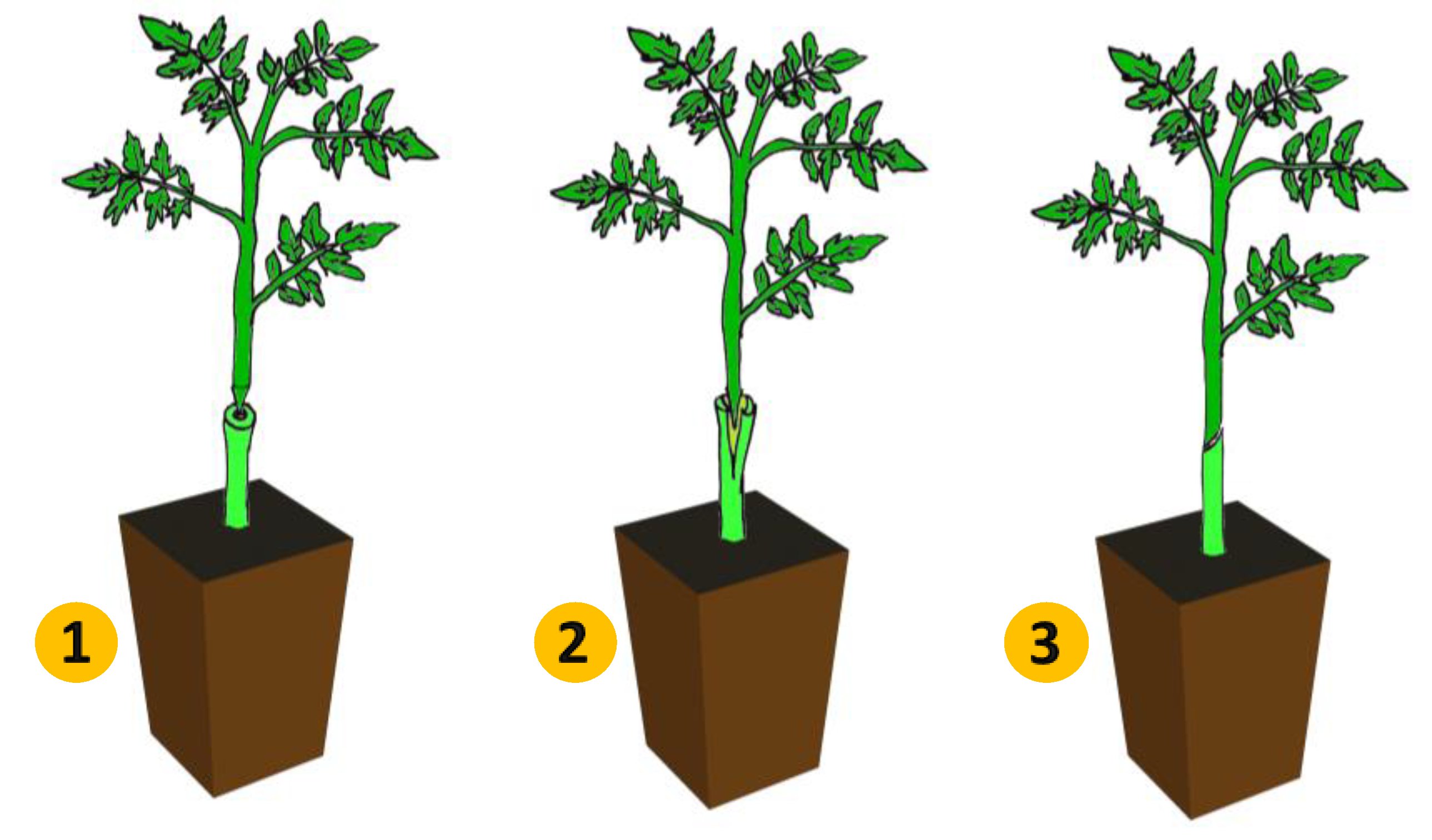 Applsci 10 02745 g001 Applsci 10 02745 g001