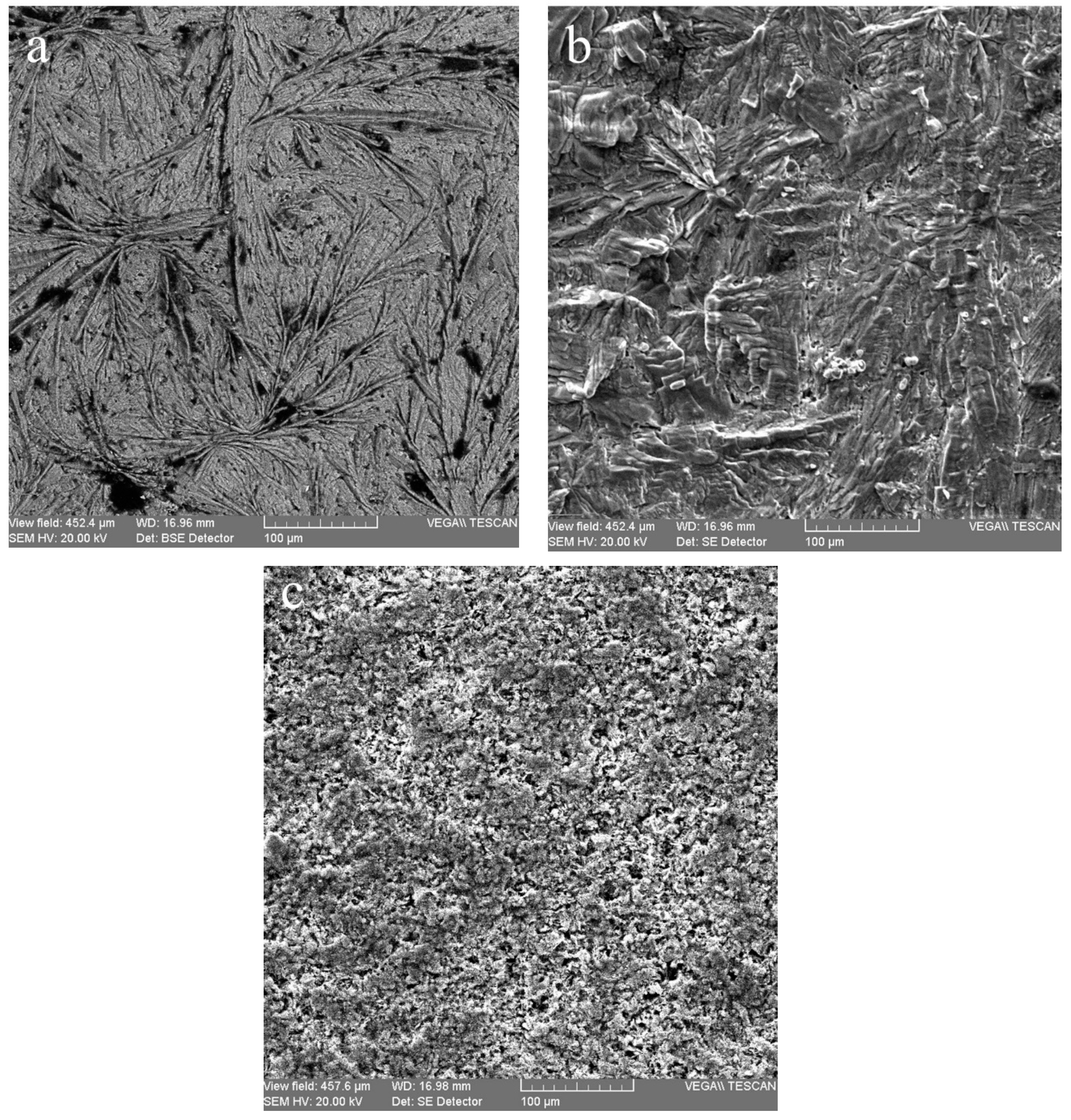 Applsci 10 02753 g002