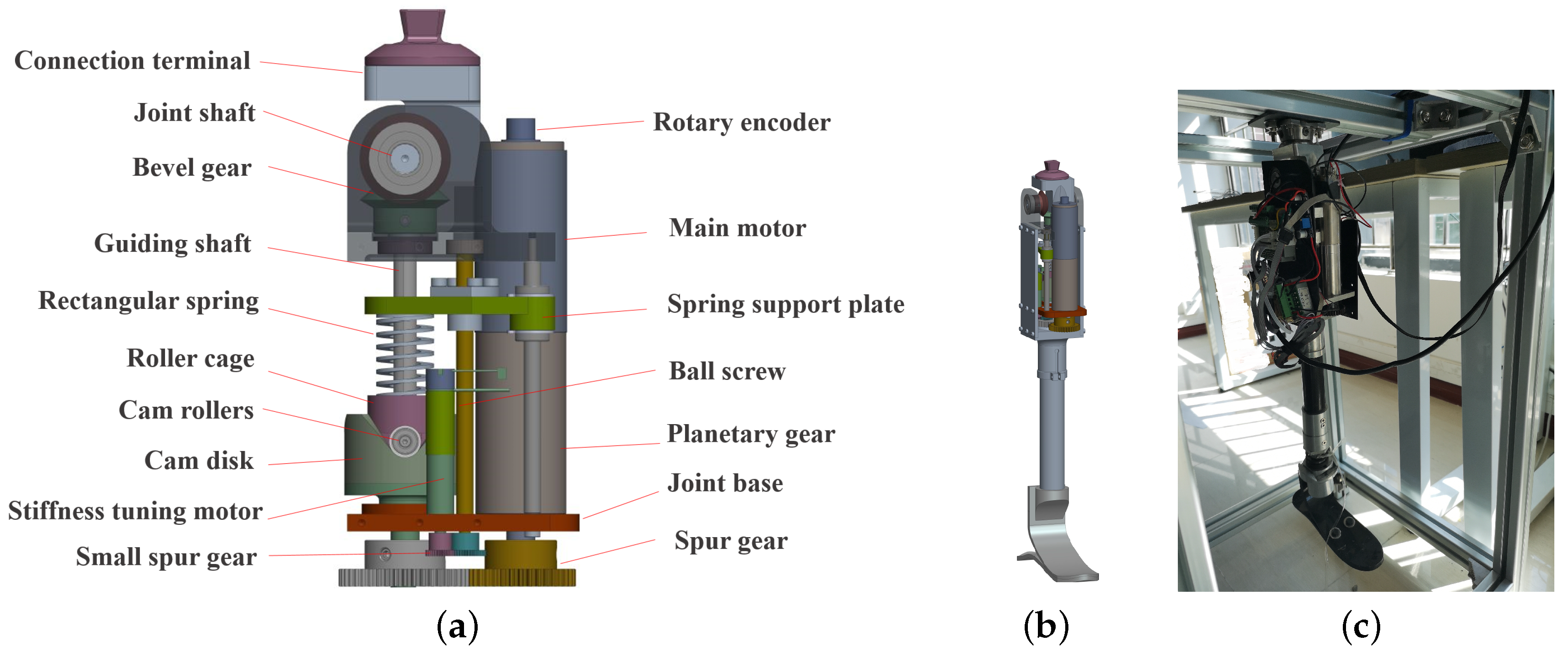 Applsci 10 02755 g001