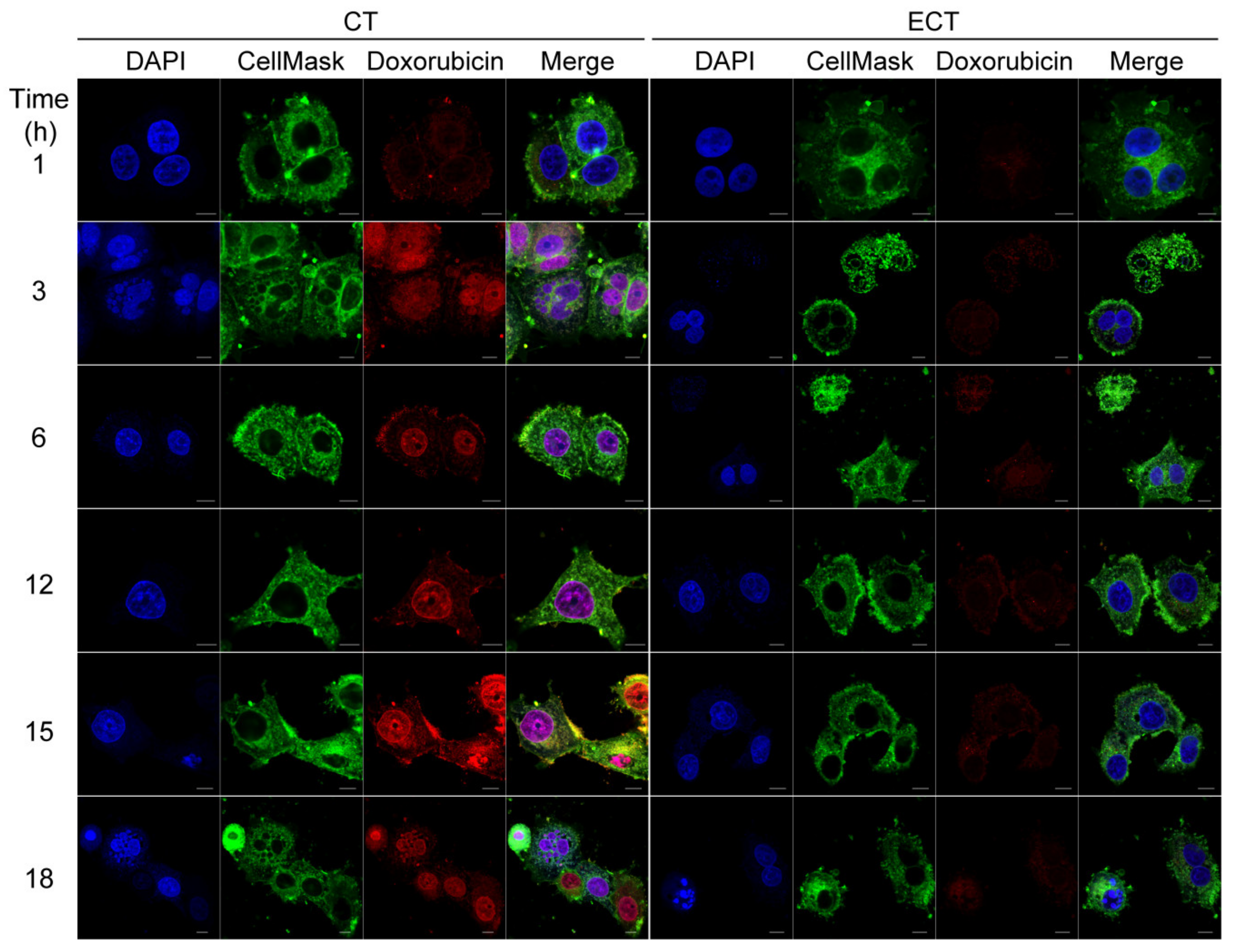 Applsci 10 02765 g007 Applsci 10 02765 g007