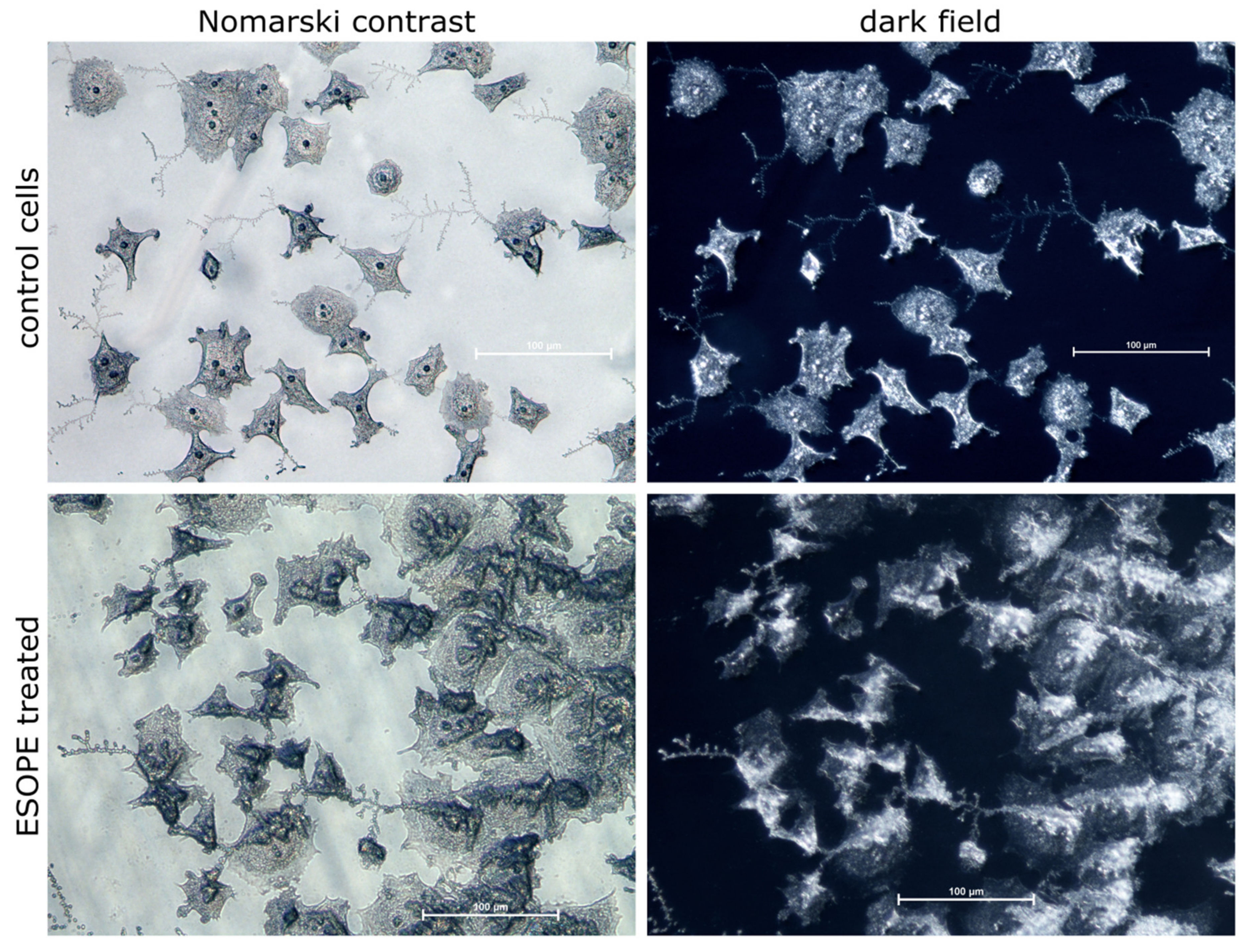 Applsci 10 02765 g008 Applsci 10 02765 g008