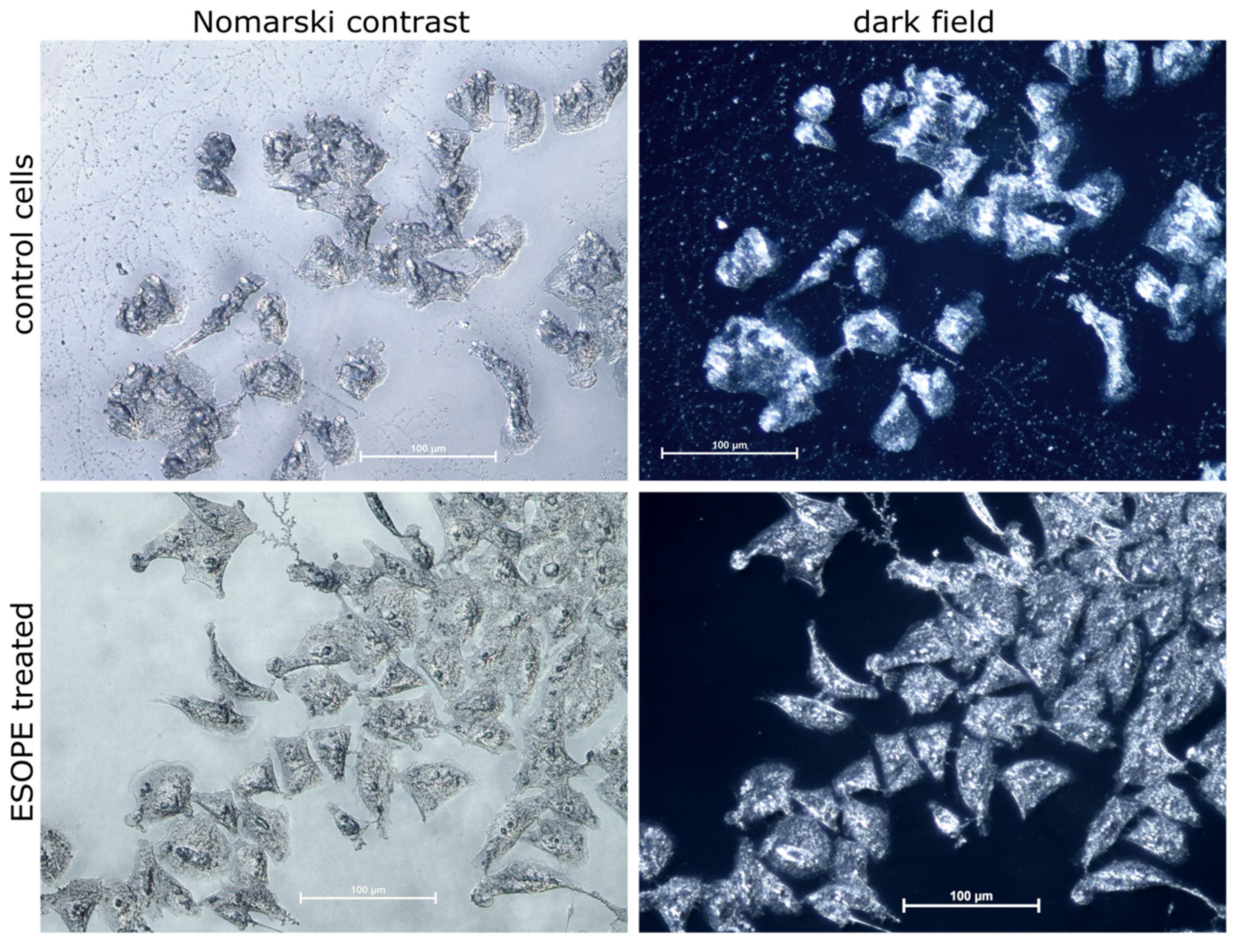 Applsci 10 02765 g009 Applsci 10 02765 g009