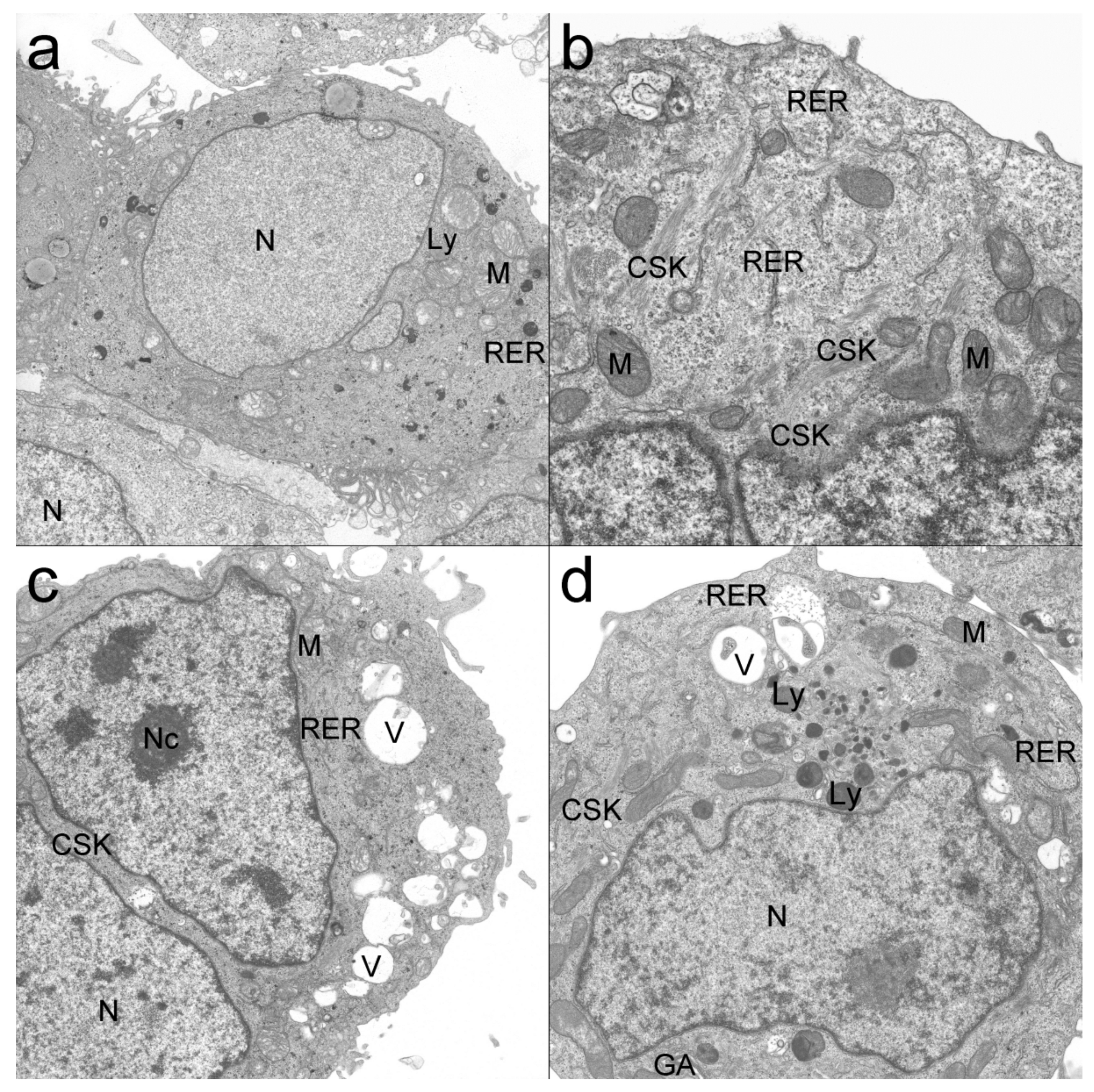 Applsci 10 02765 g010 Applsci 10 02765 g010