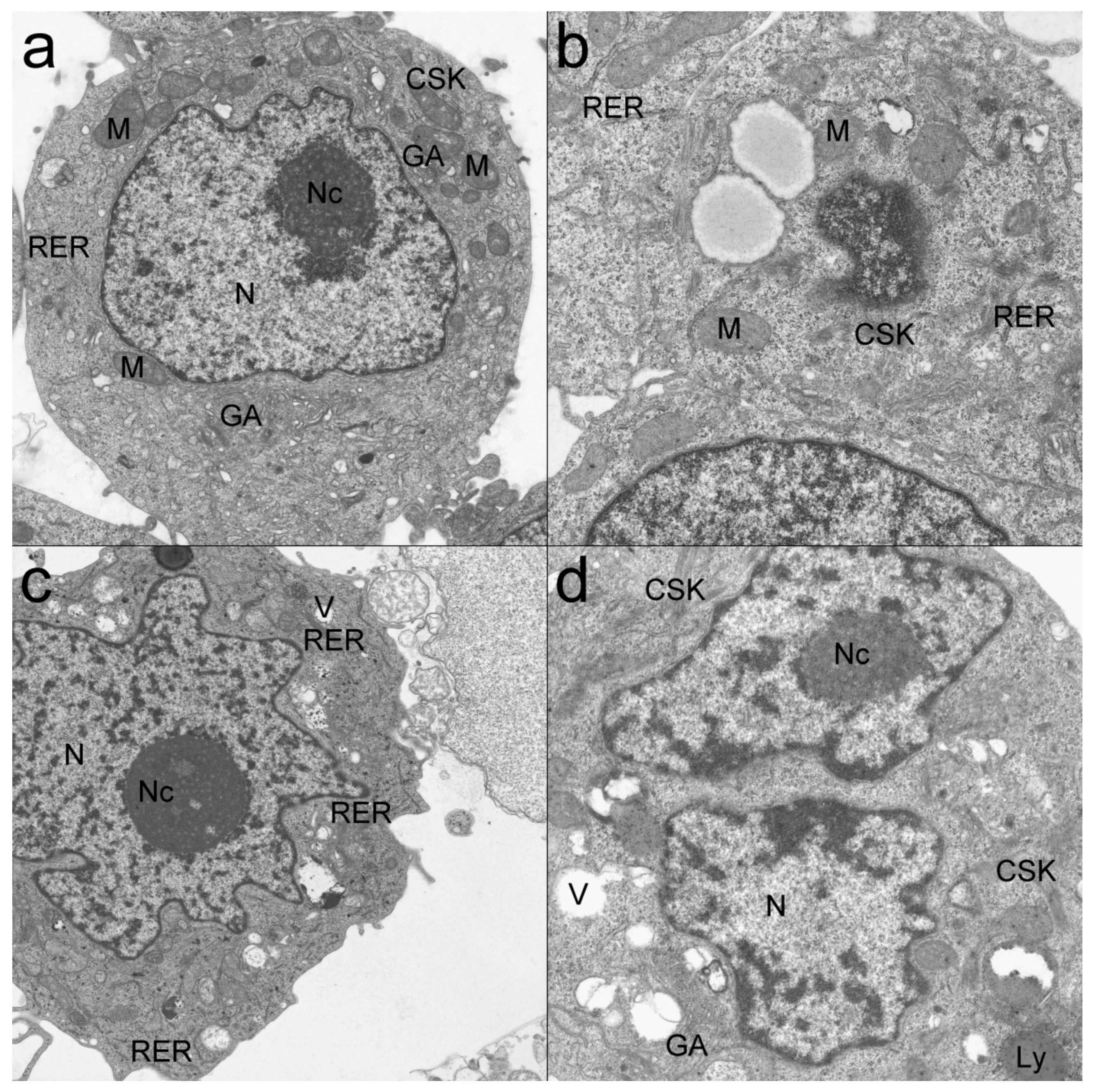 Applsci 10 02765 g011 Applsci 10 02765 g011
