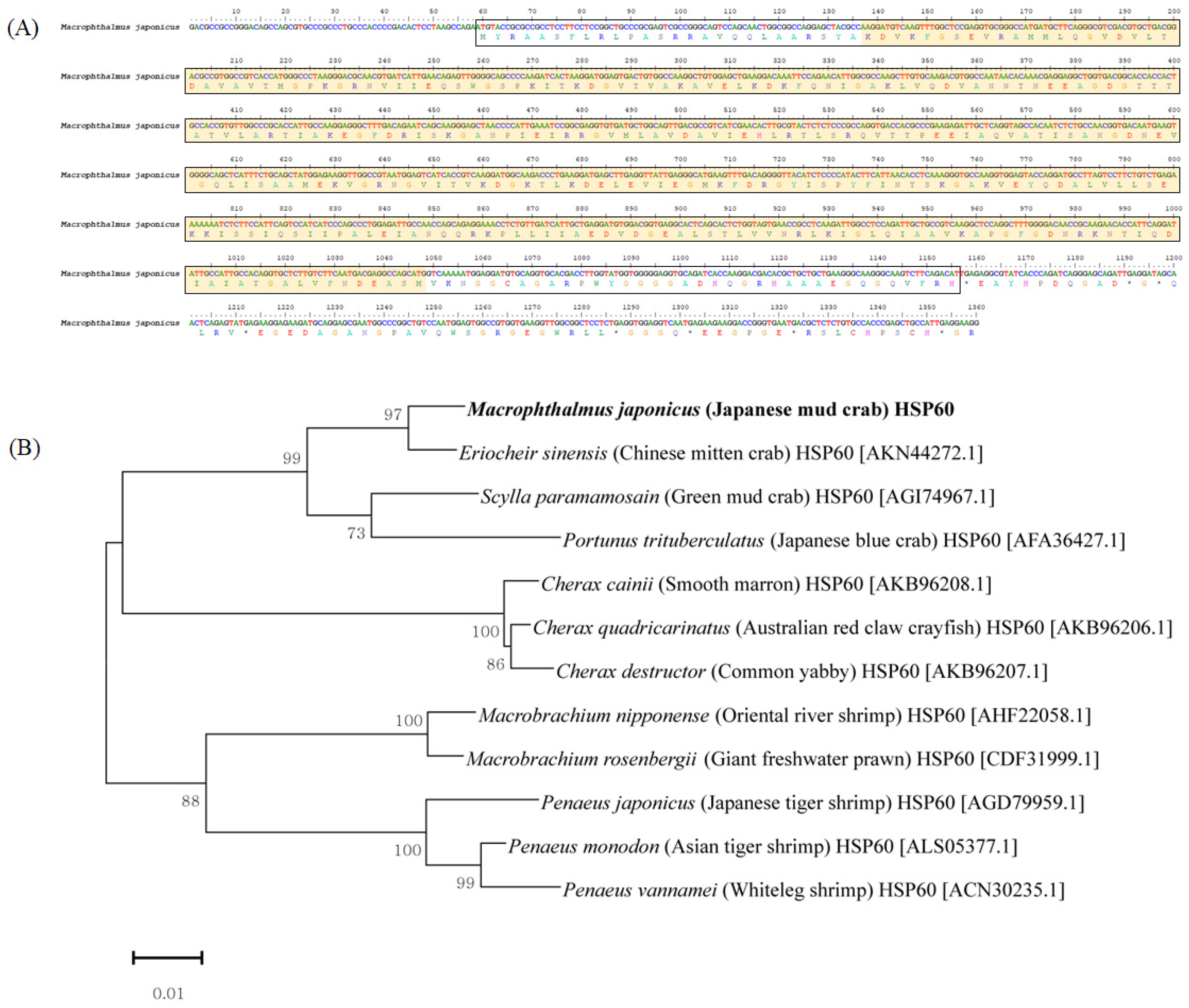 Applsci 10 02766 g001