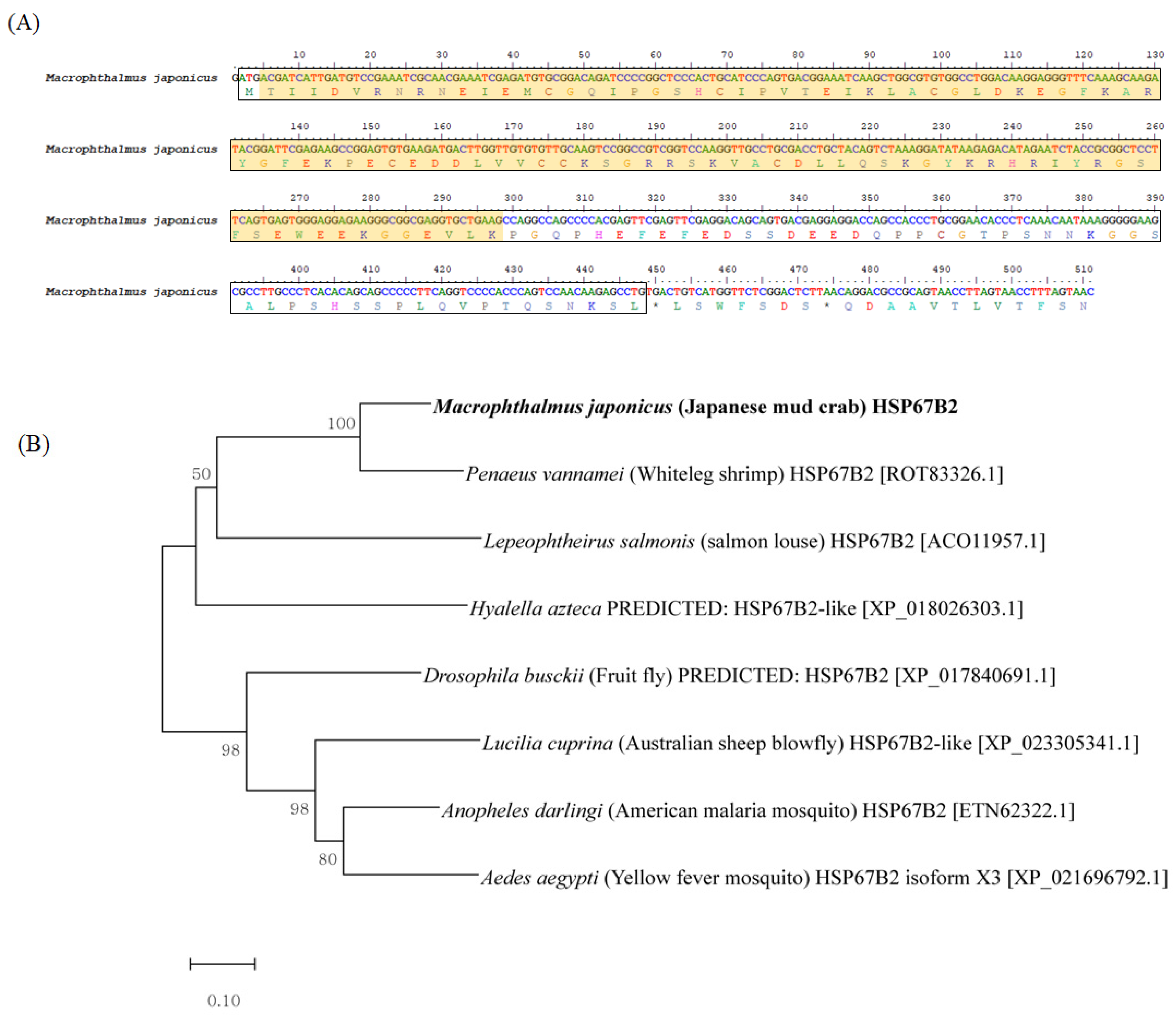 Applsci 10 02766 g002