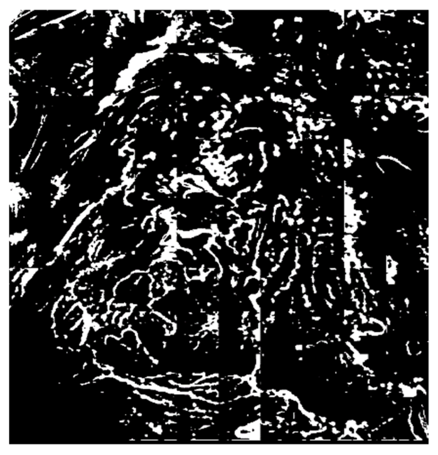 Applsci 10 02771 g006 Applsci 10 02771 g006