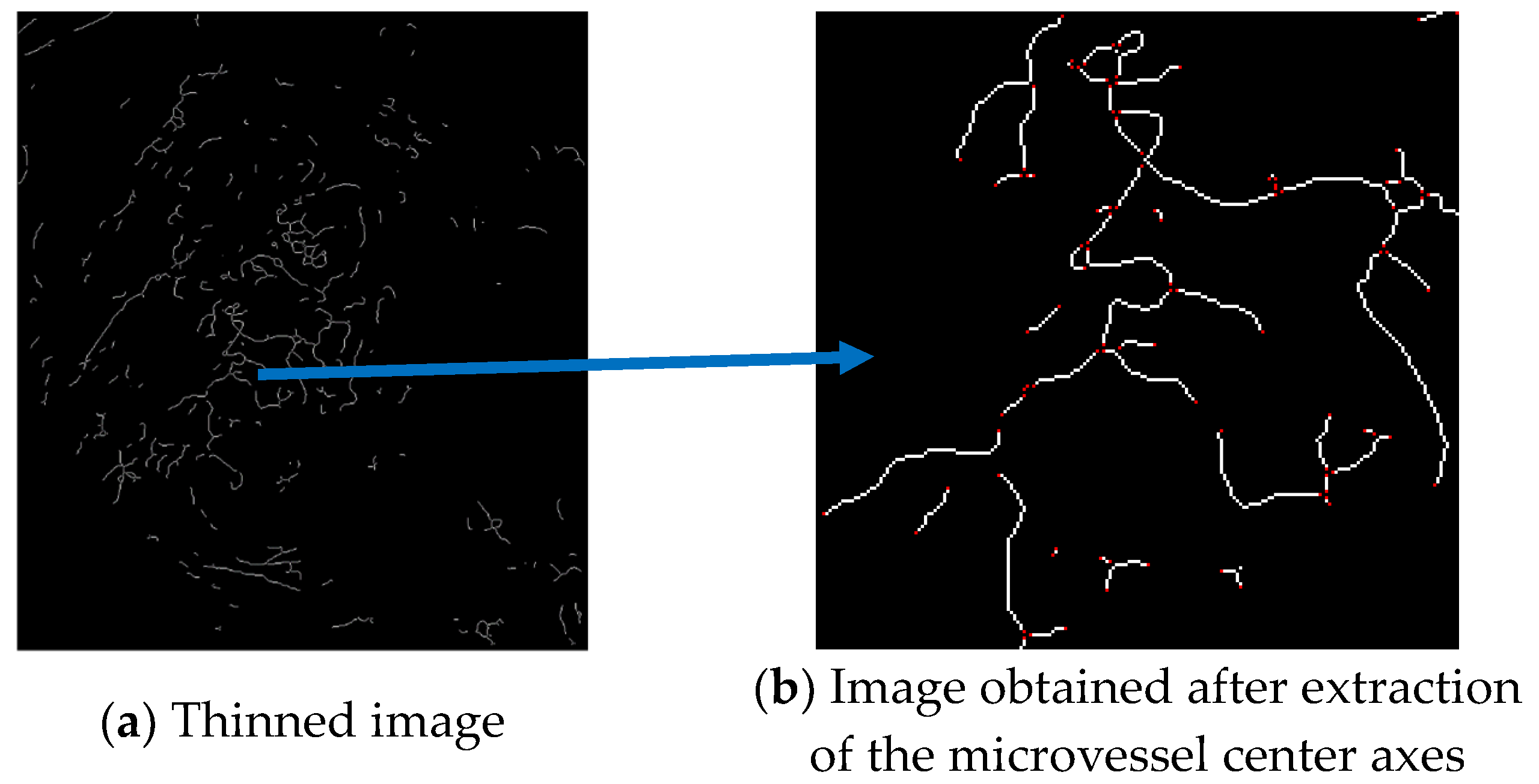 Applsci 10 02771 g019 Applsci 10 02771 g019