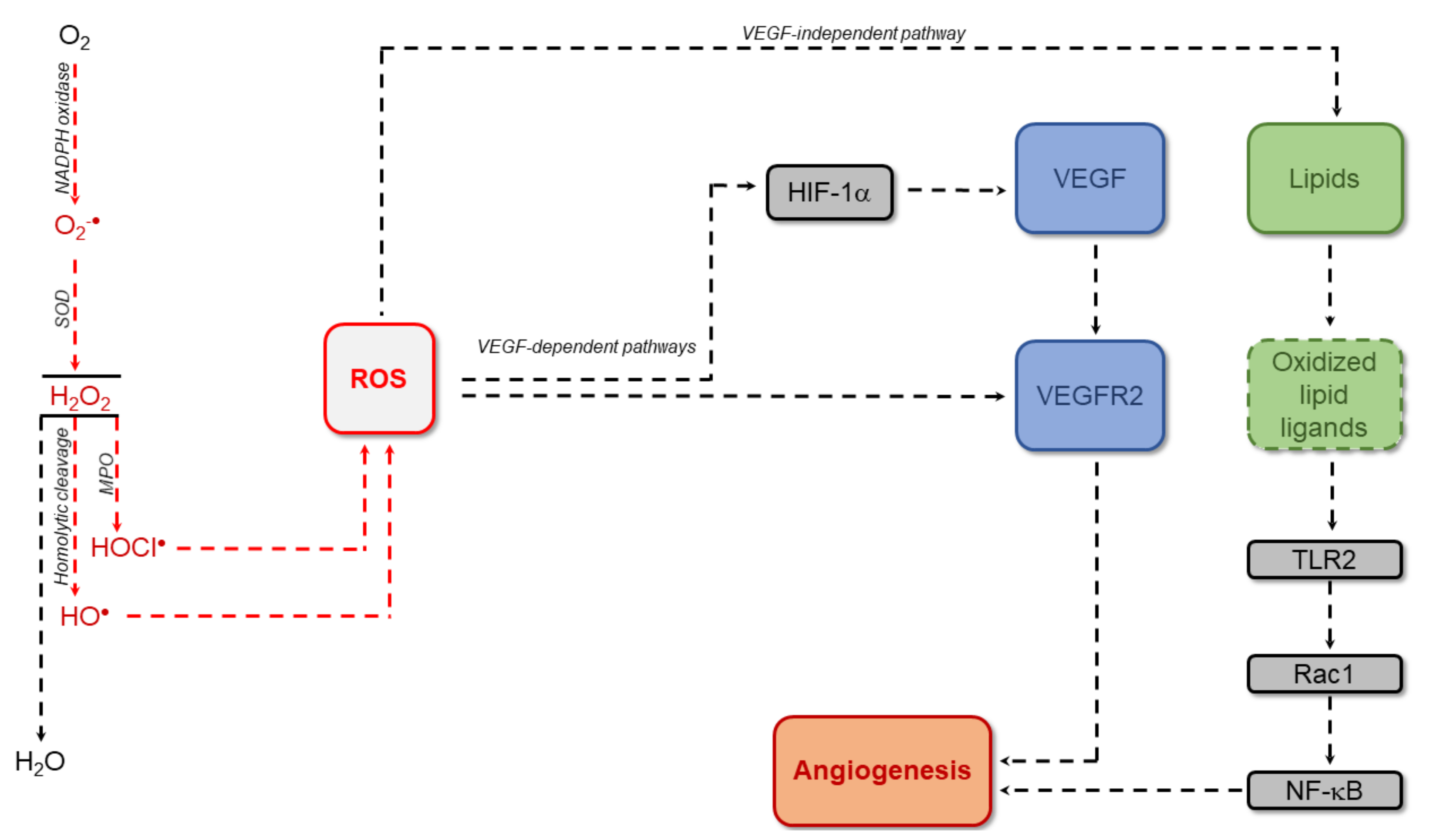 Applsci 10 02777 g002 Applsci 10 02777 g002