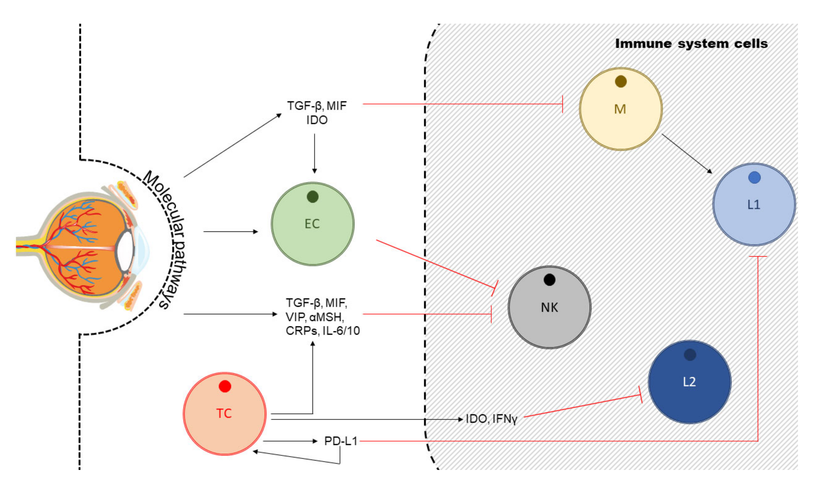 Applsci 10 02777 g003 Applsci 10 02777 g003