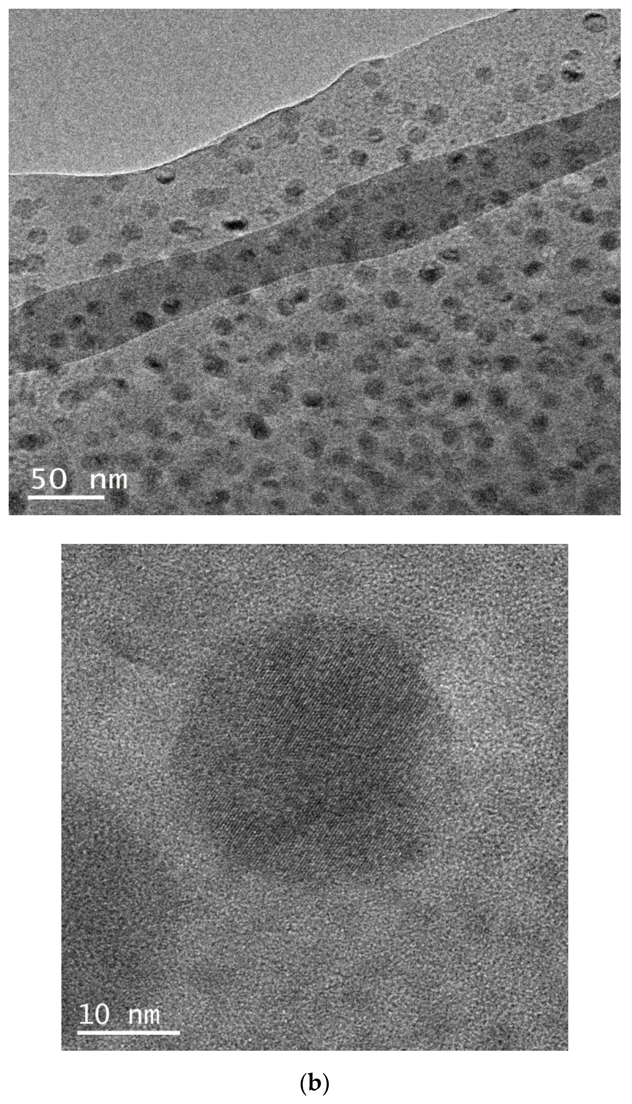 Applsci 10 02791 g006b Applsci 10 02791 g006b