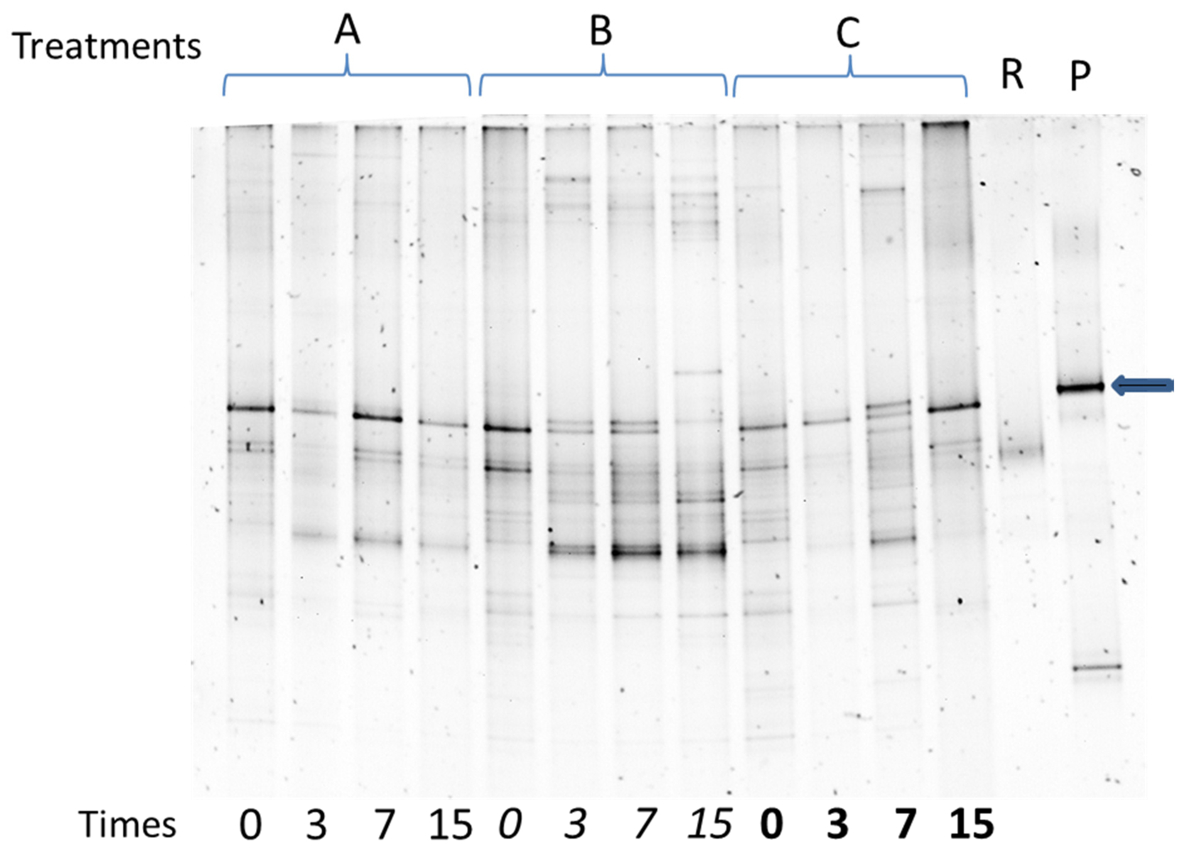 Applsci 10 02837 g006