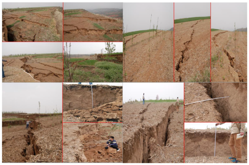 Applsci 10 02874 g003 Applsci 10 02874 g003