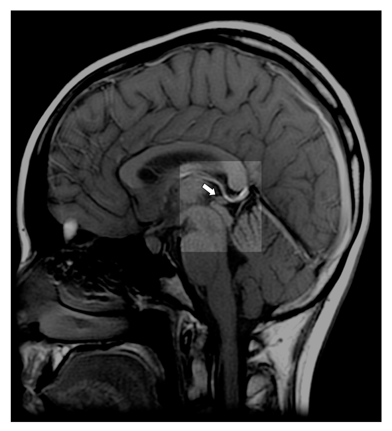 Applsci 10 02885 g001 Applsci 10 02885 g001