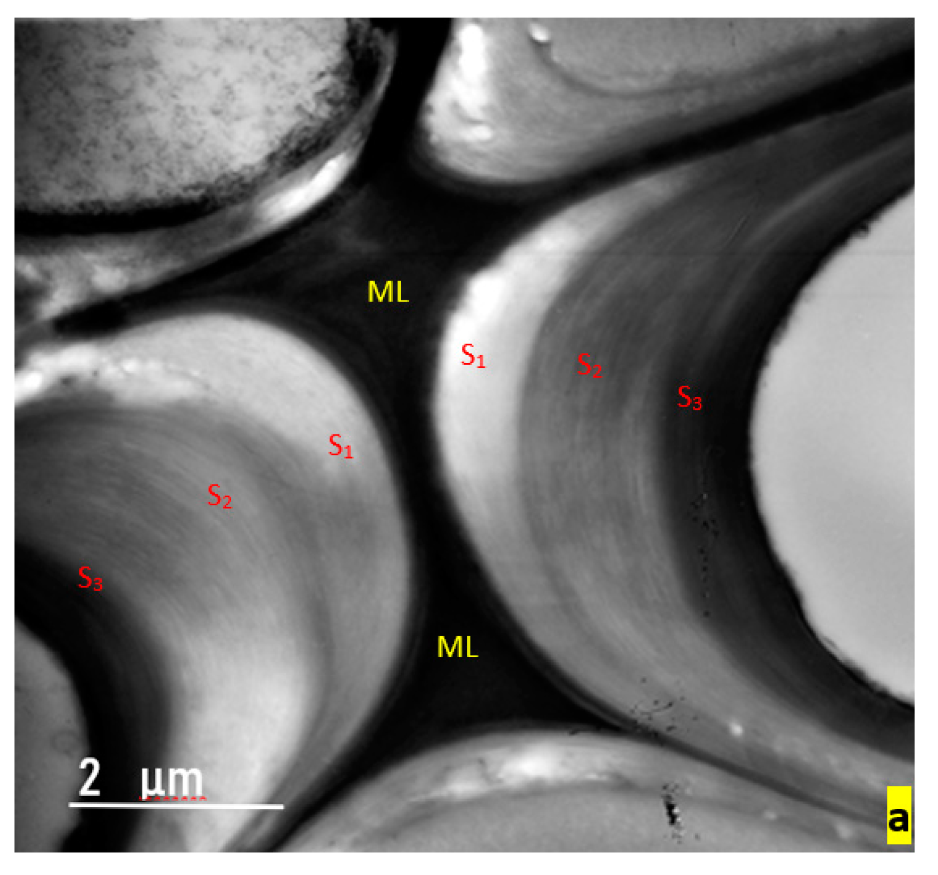 Applsci 10 02886 g002a