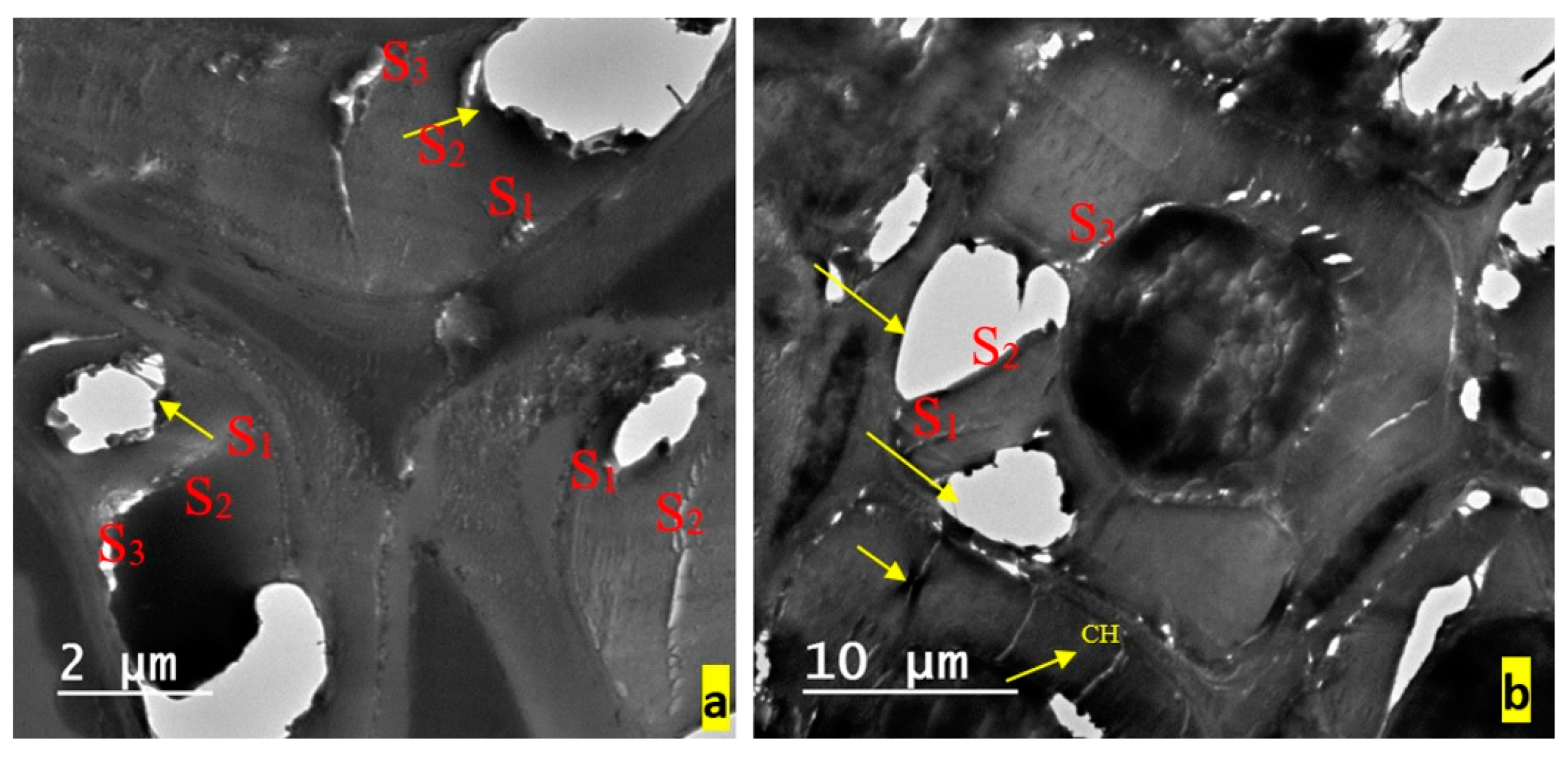 Applsci 10 02886 g003a