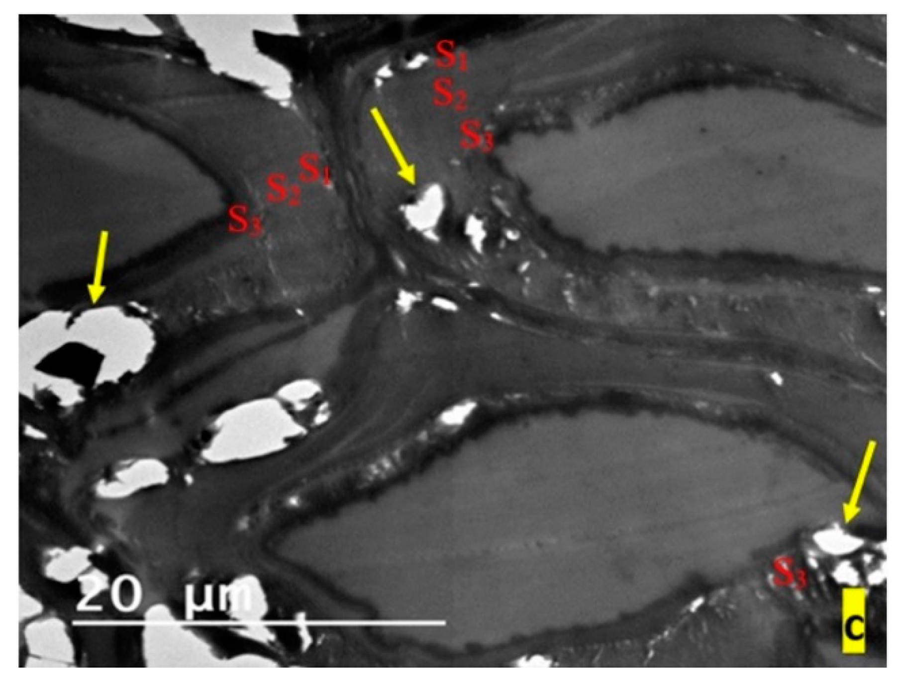 Applsci 10 02886 g003b