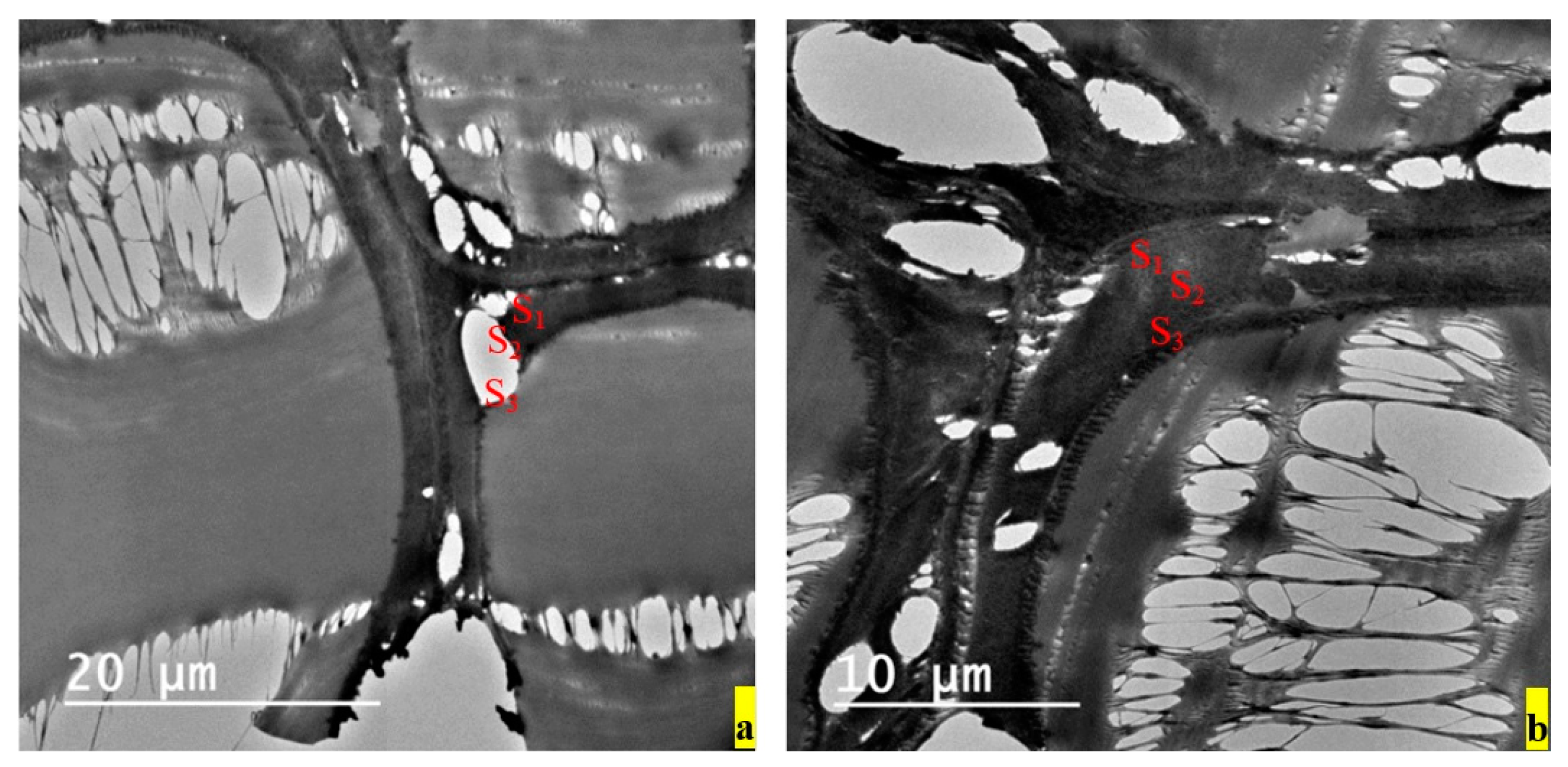 Applsci 10 02886 g004