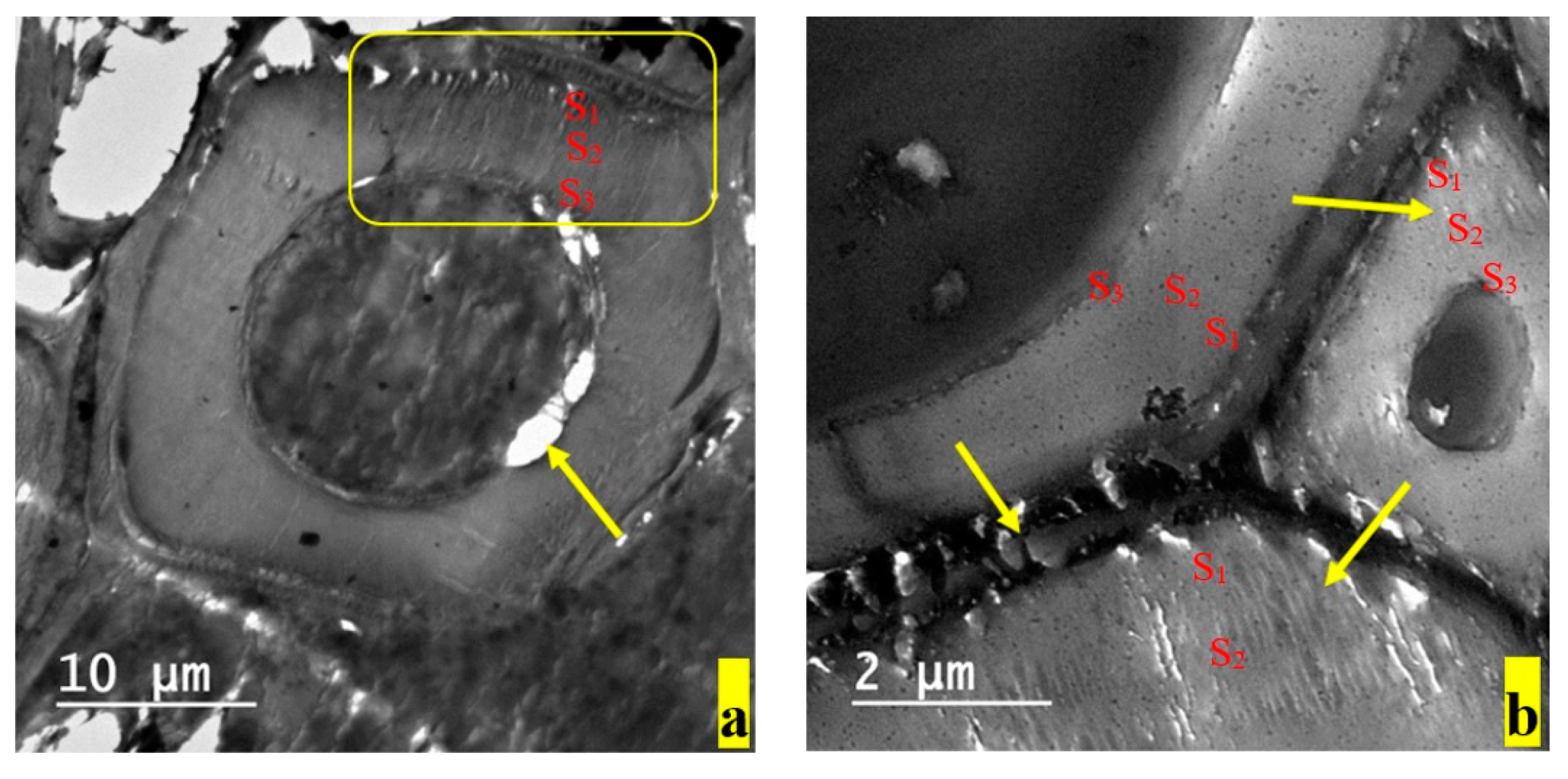 Applsci 10 02886 g005