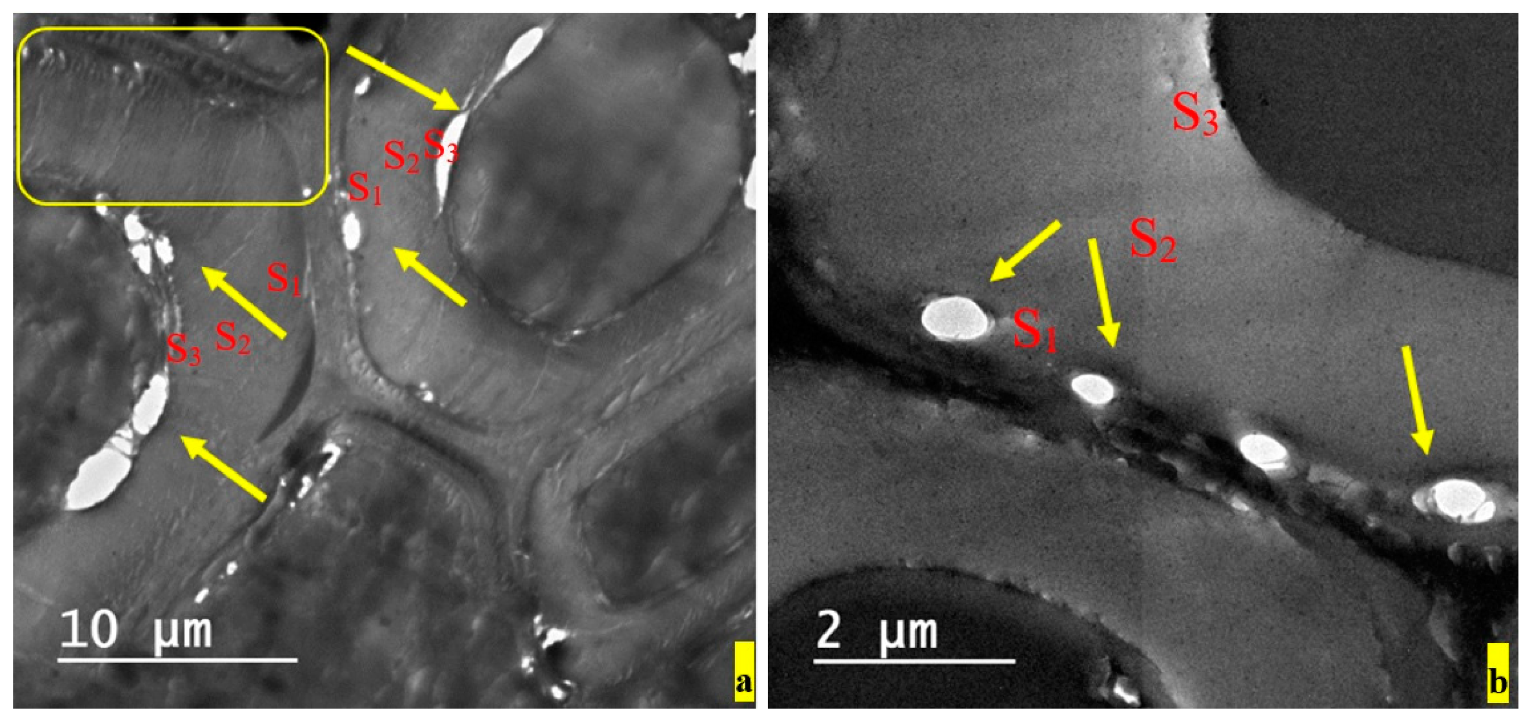 Applsci 10 02886 g006