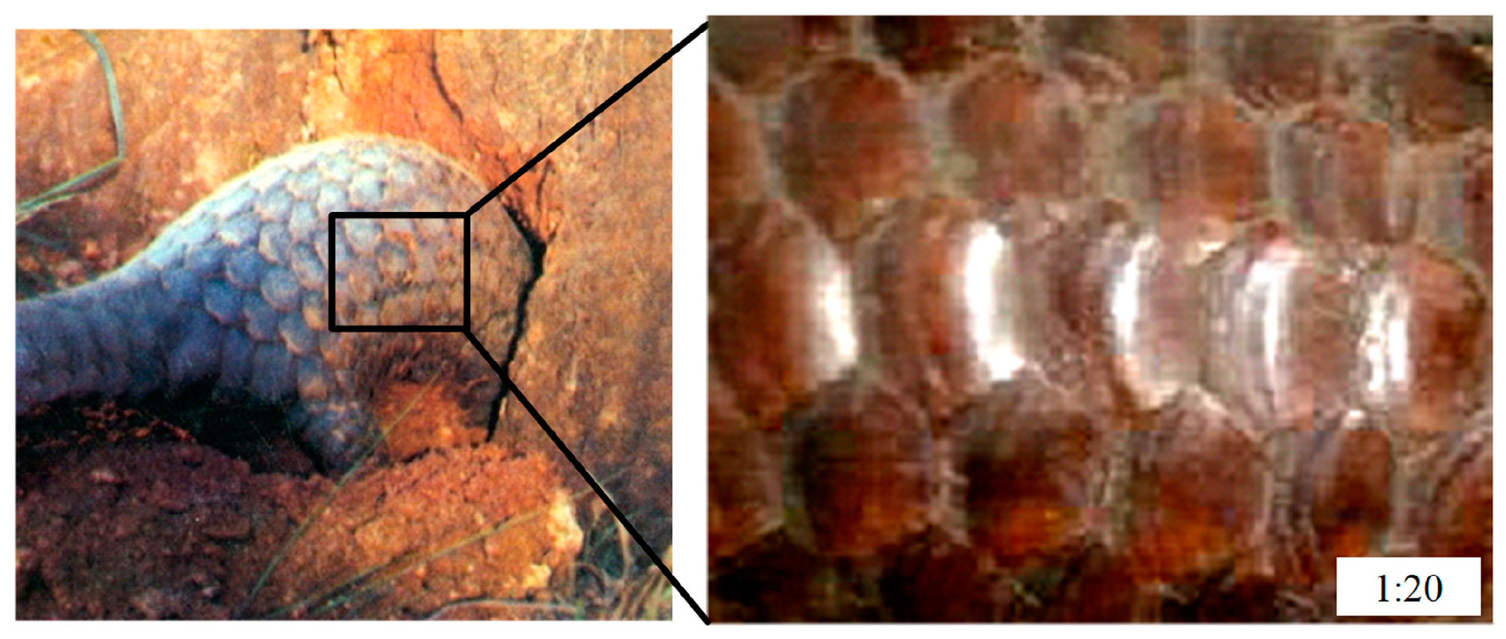 Applsci 10 02896 g001