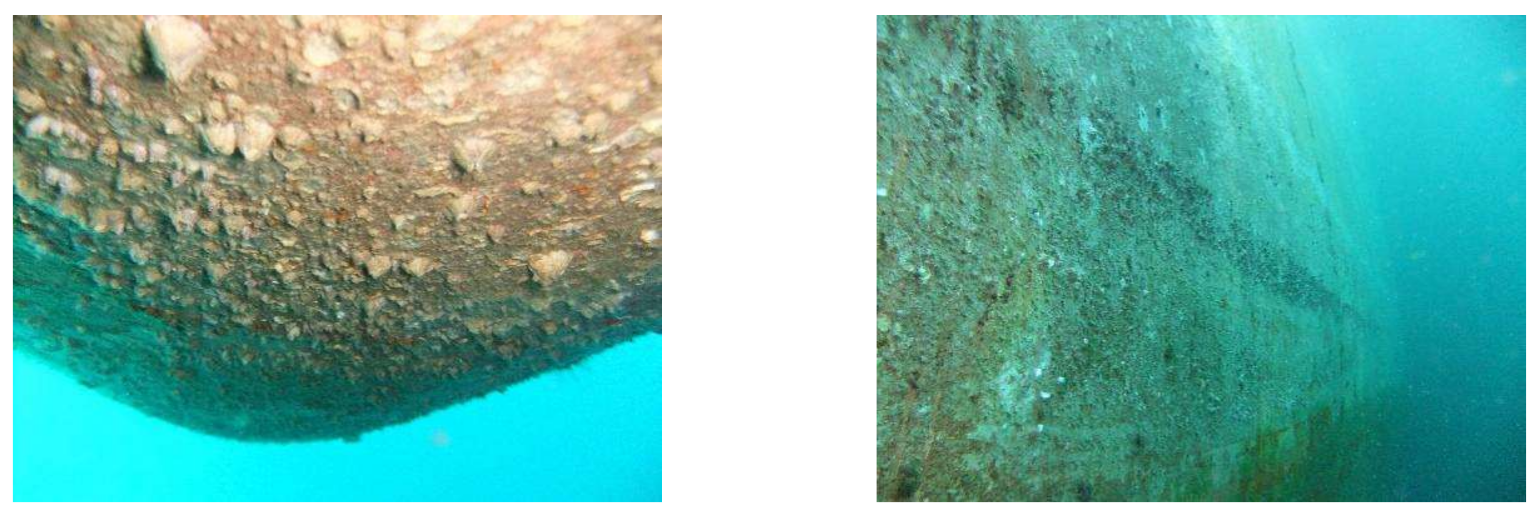 Applsci 10 02926 g001 Applsci 10 02926 g001