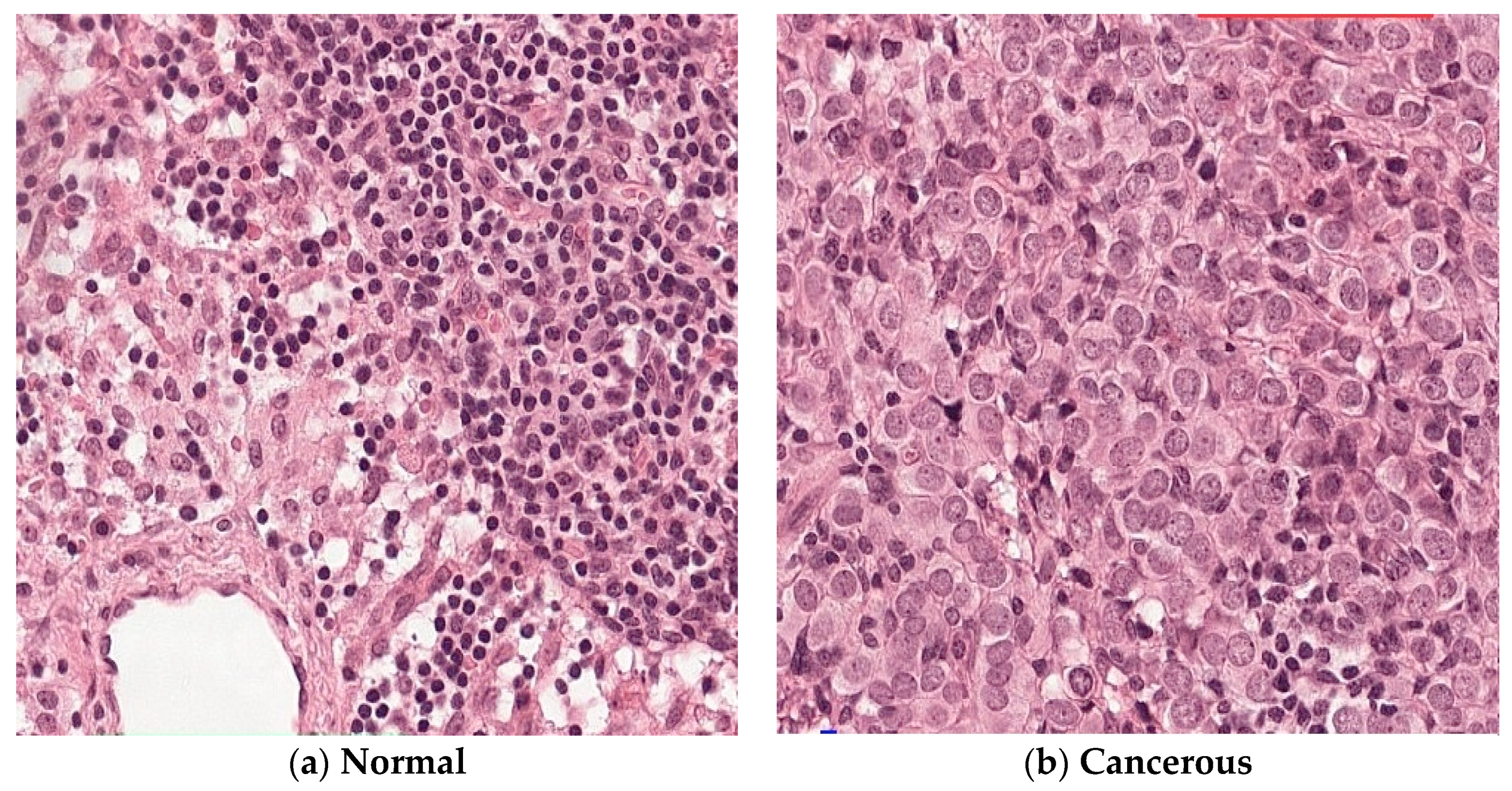 Applsci 10 02929 g003 Applsci 10 02929 g003