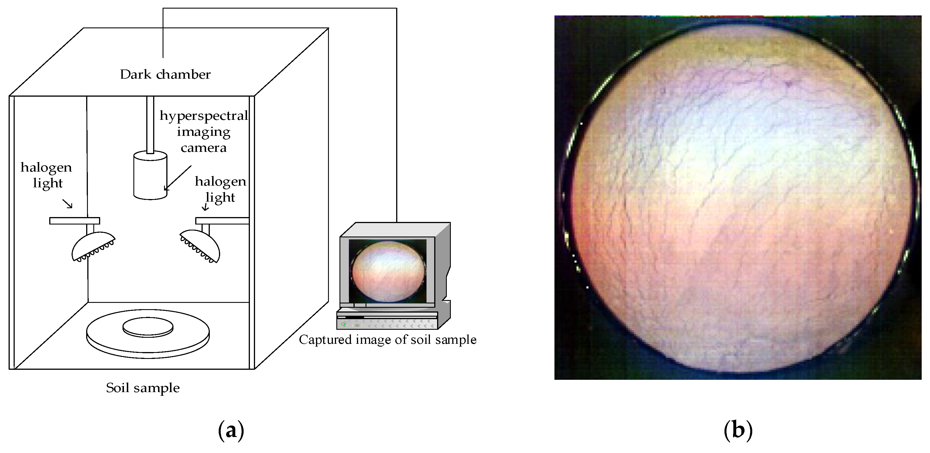 Applsci 10 02941 g001 Applsci 10 02941 g001
