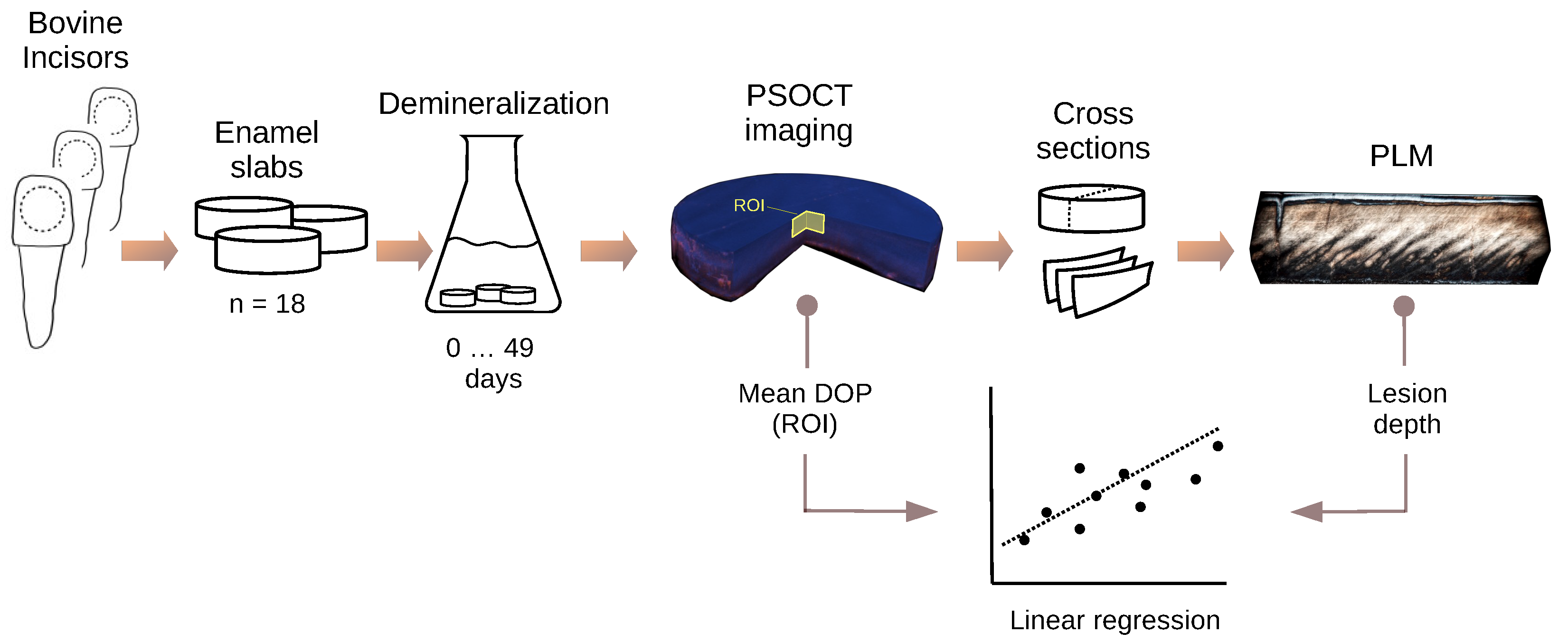 Applsci 10 02971 g001